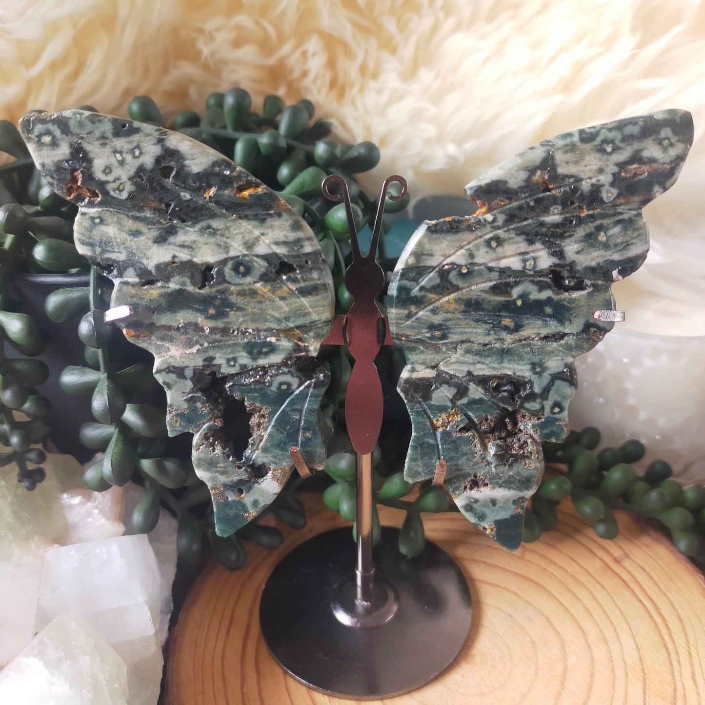 Ocean Jasper Butterfly Wings