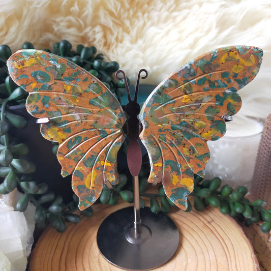 Rainforest Jasper Butterfly Wings