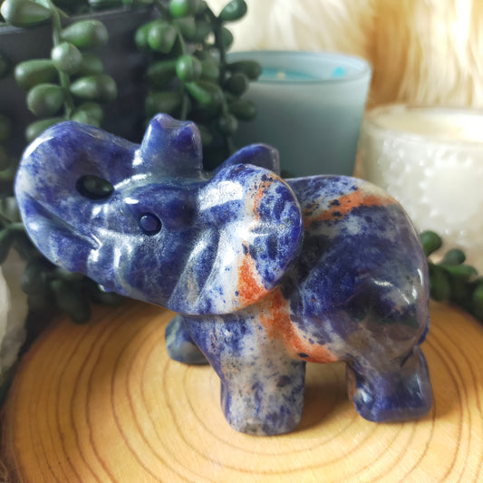 Sodalite Elephant