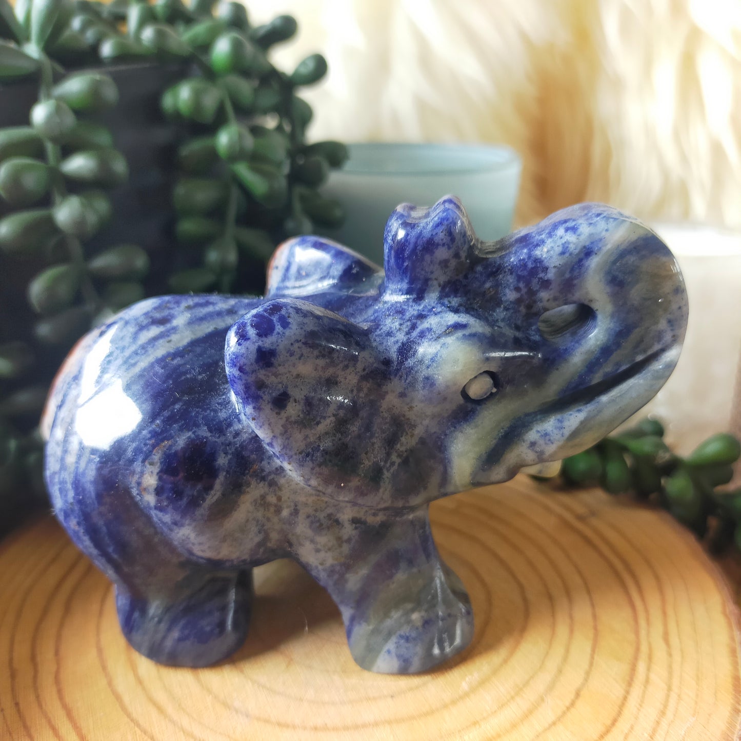 Sodalite Elephant