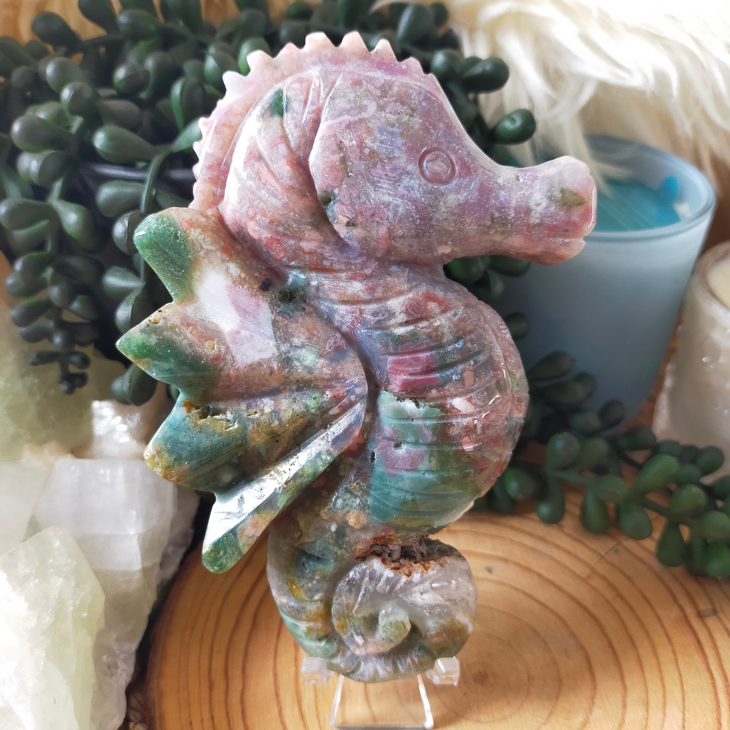 Ocean Jasper Seahorse