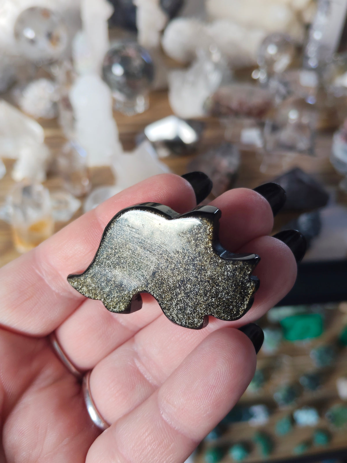 Golden Sheen Obsidian Triceratops
