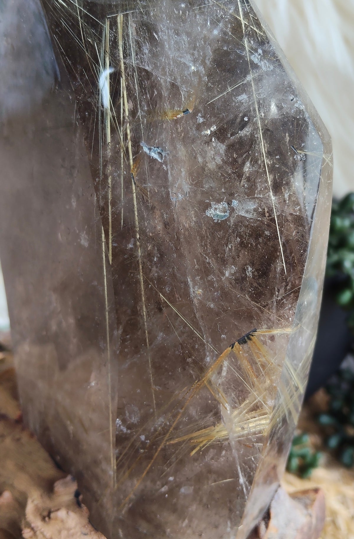 Large Rare Smokey Quartz with Golden Rutile Freeform