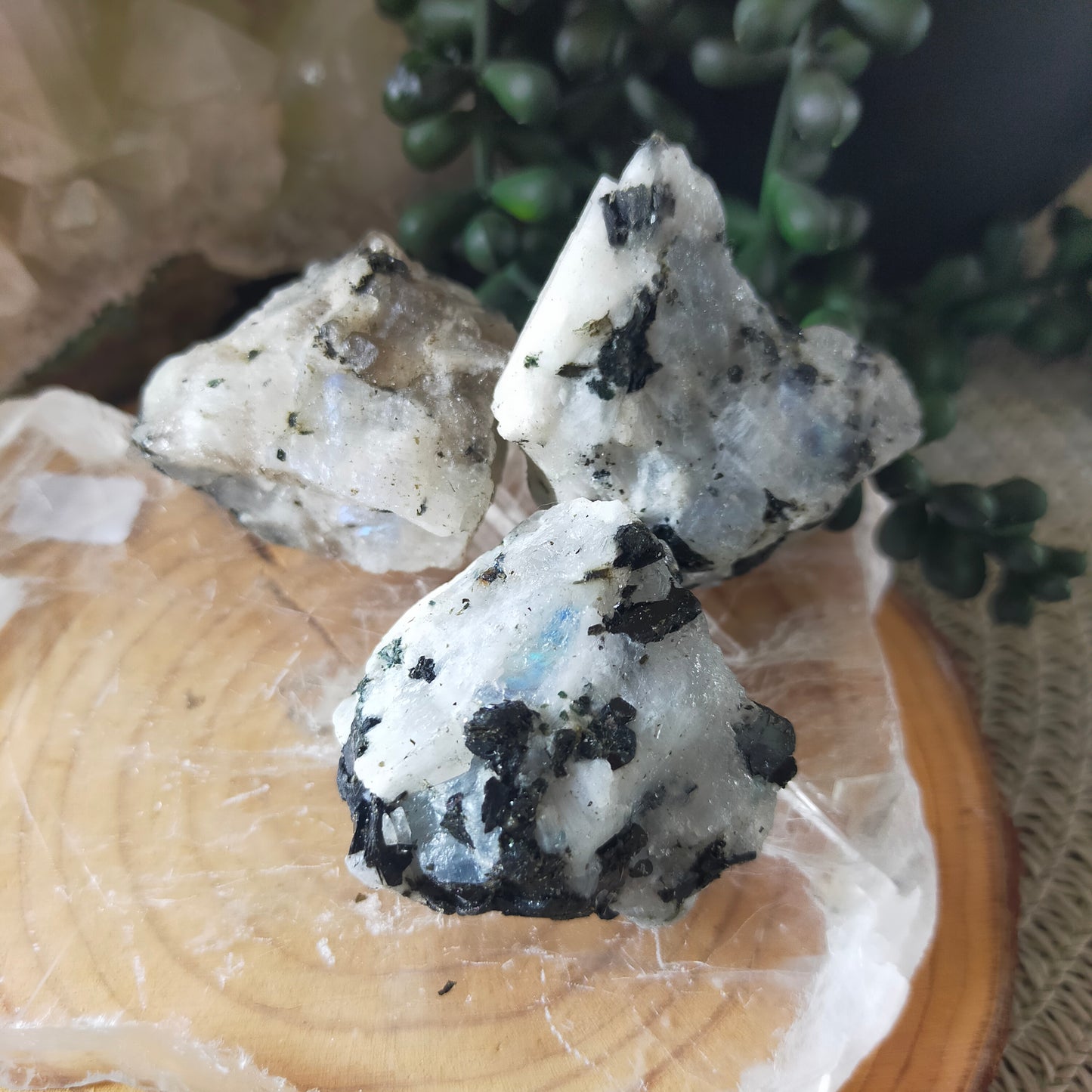 Raw Rainbow Moonstone Chunks