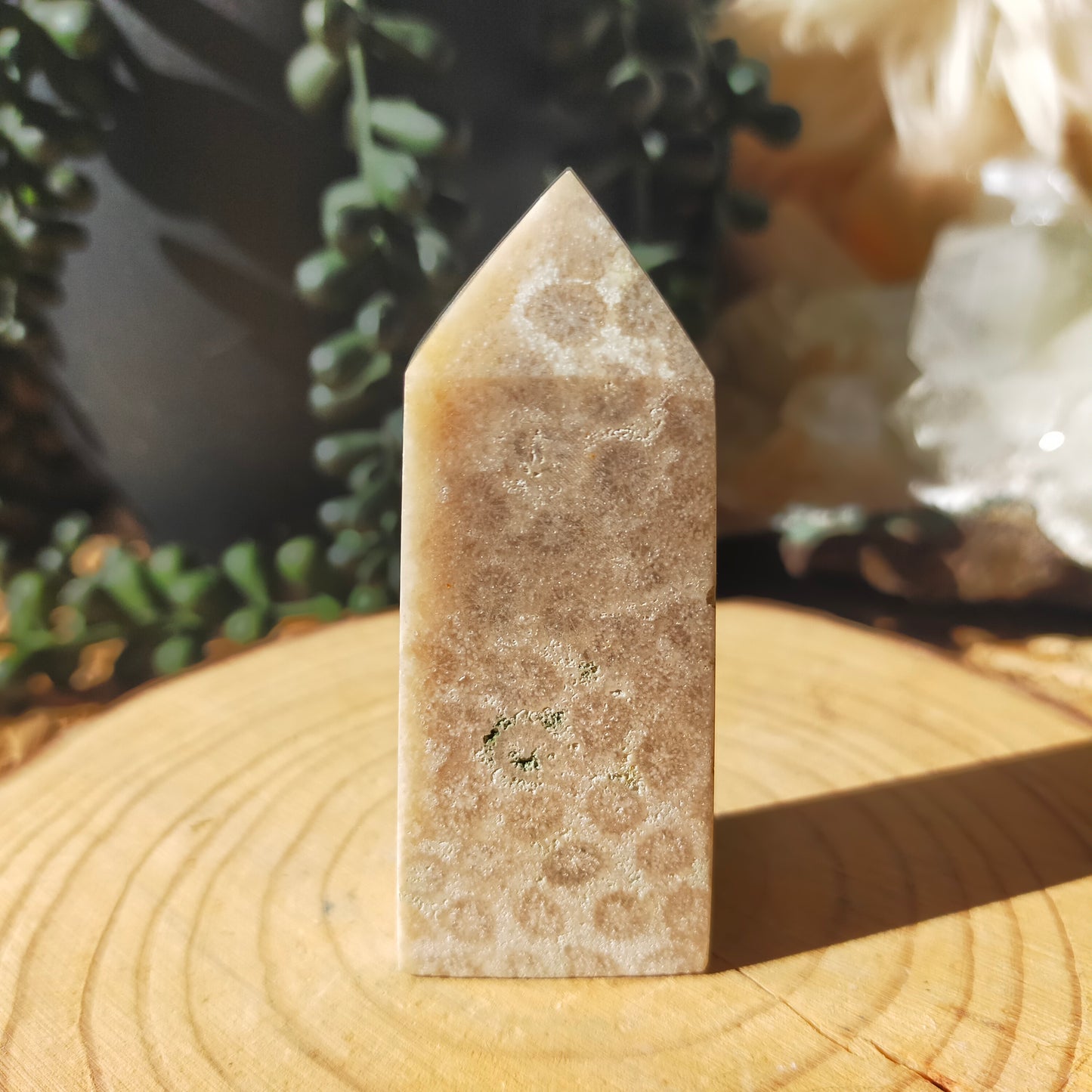Coral Jasper Point