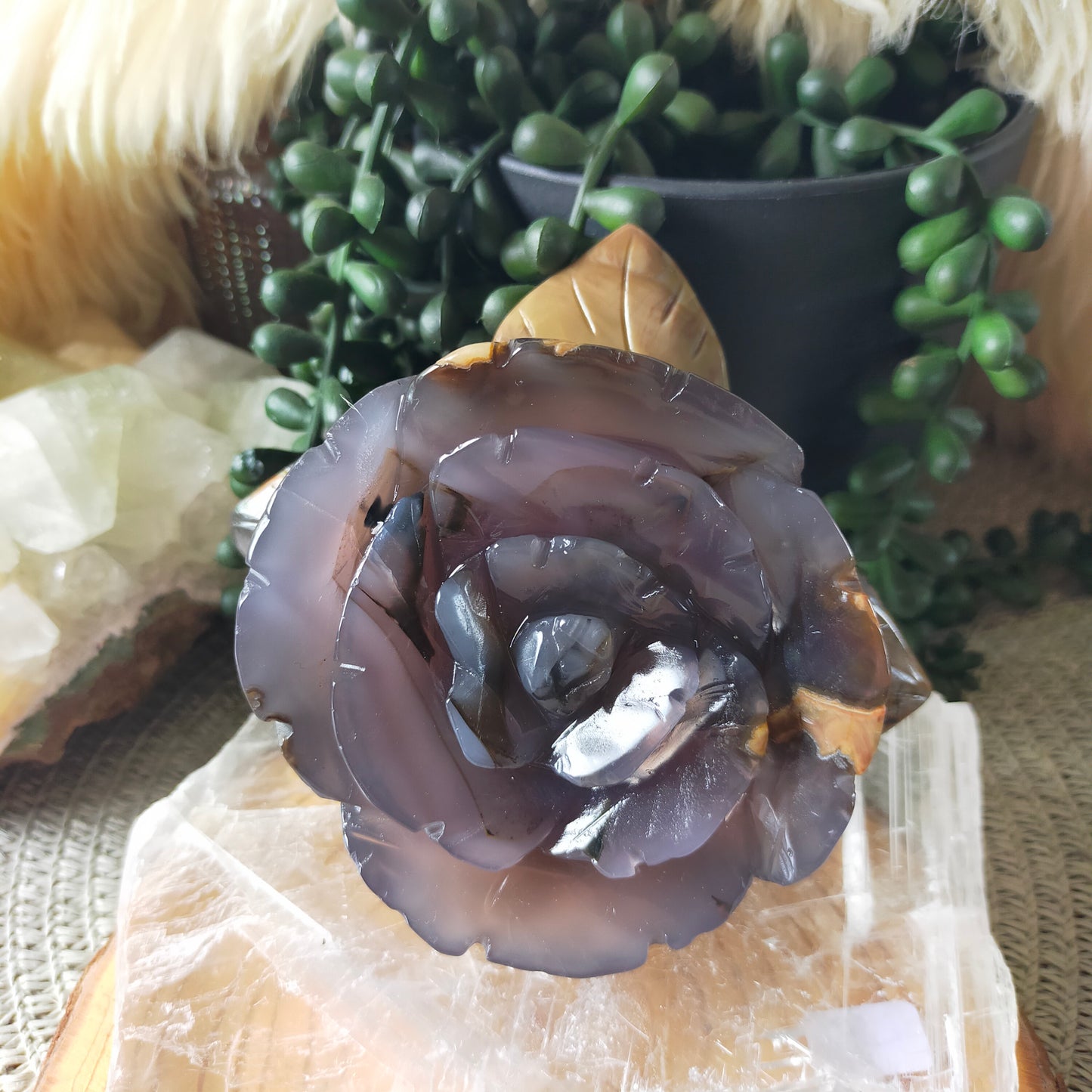 Volcano Agate Flowers