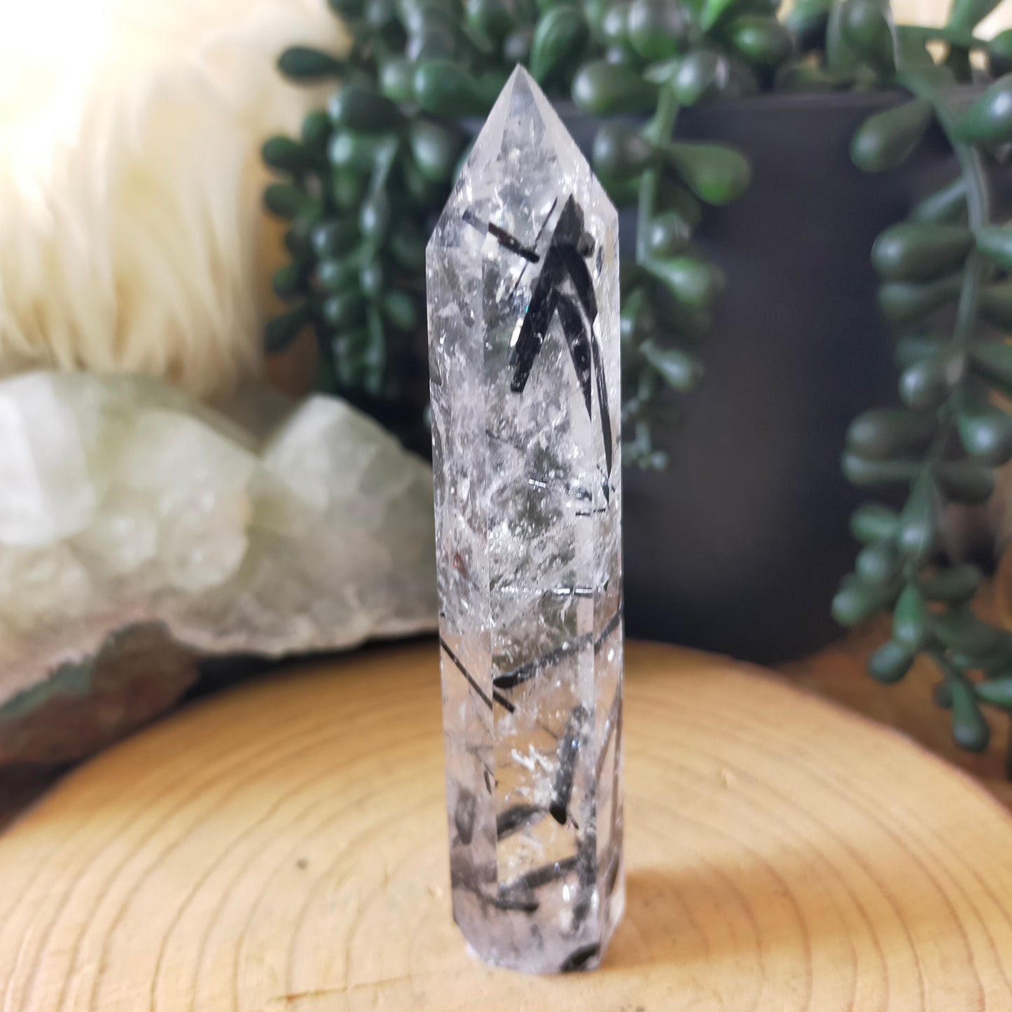 Black Tourmaline in Quartz Point