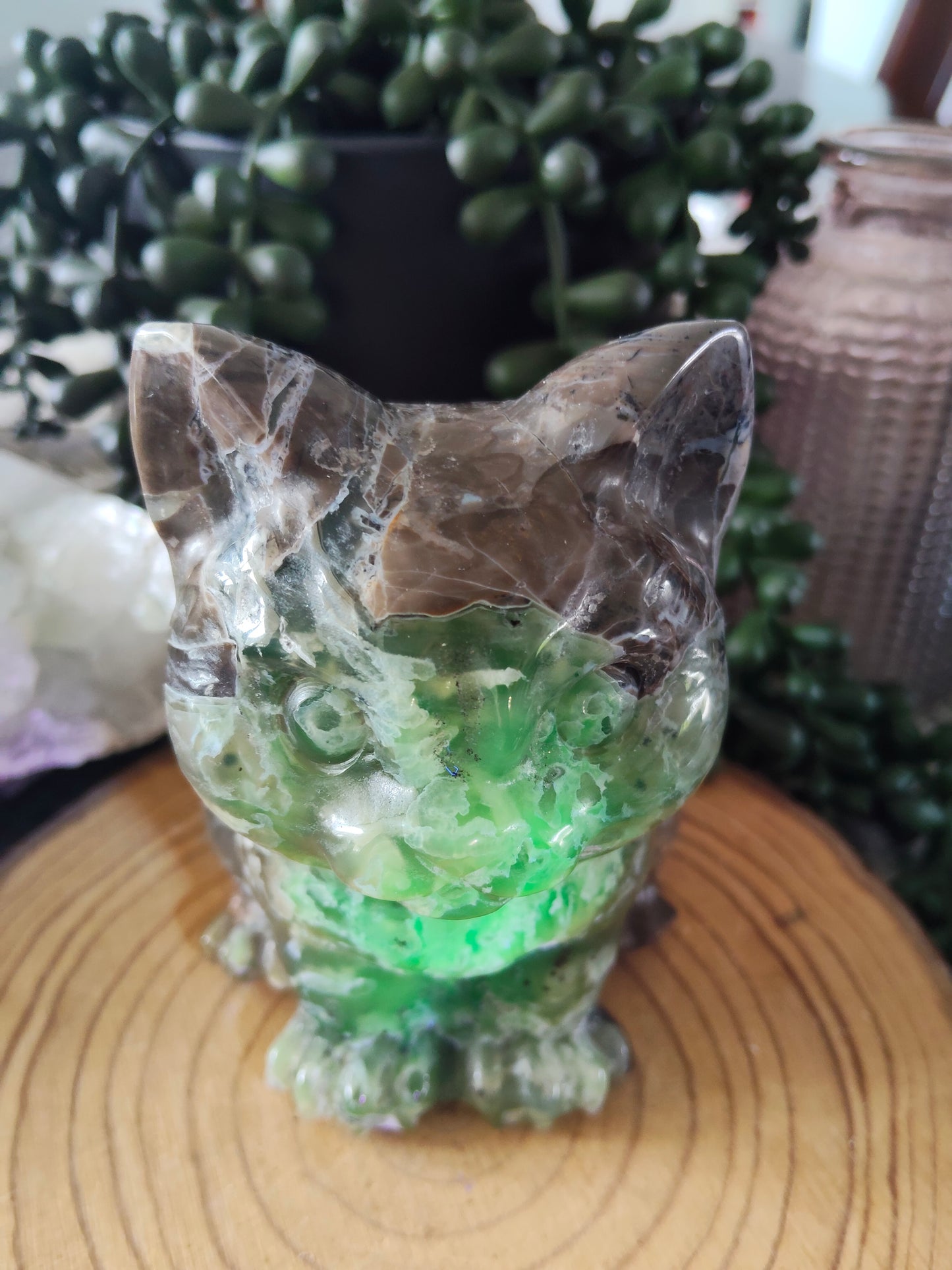 Volcano Agate Cat