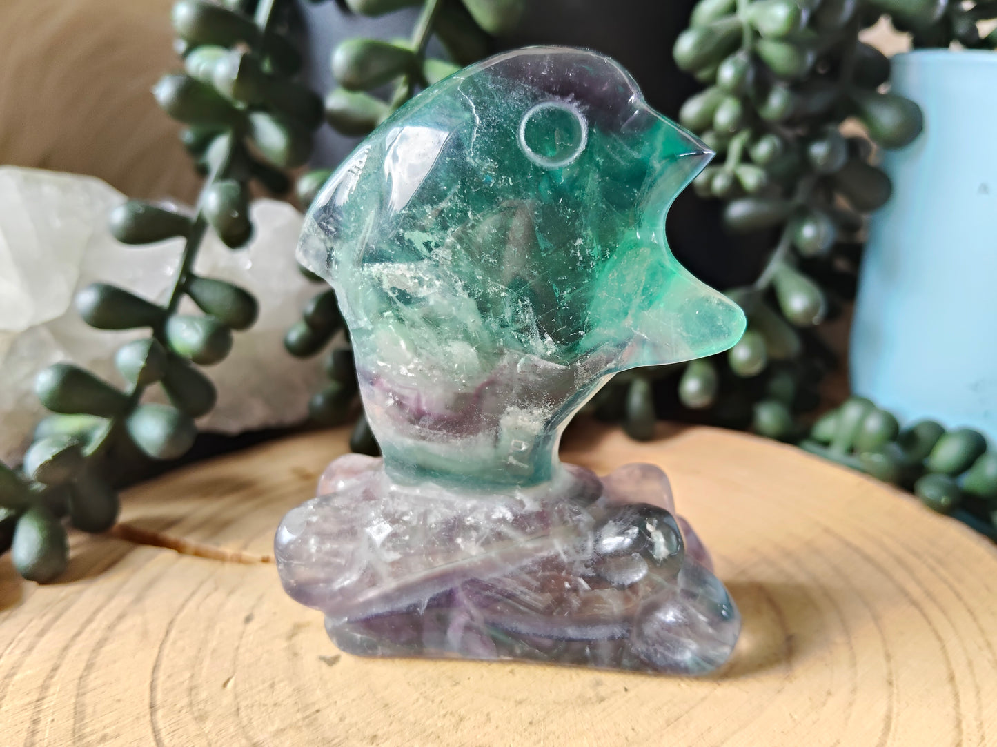 Fluorite Dolphin