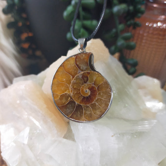 Ammonite Necklace
