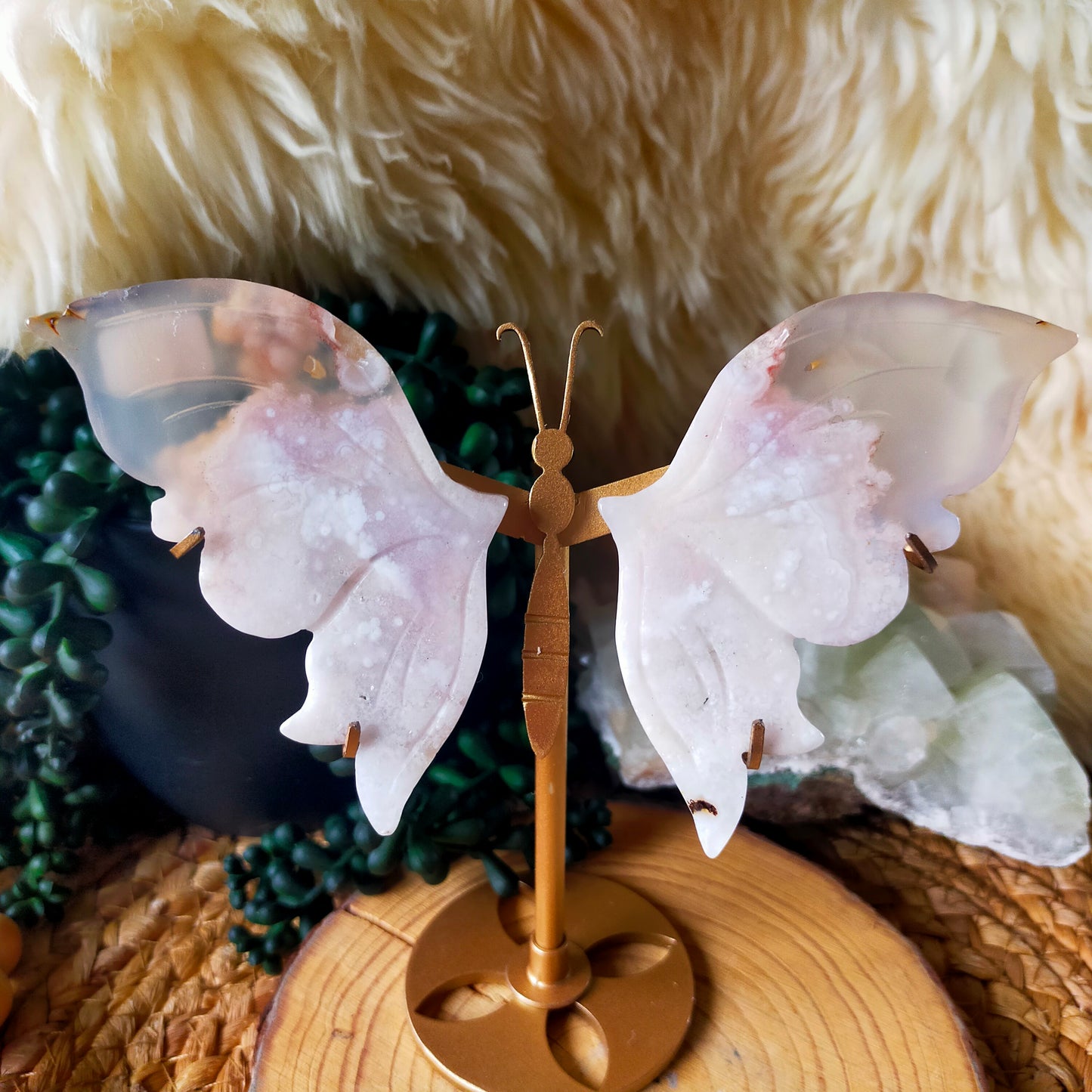 Flower Agate Butterfly Wings