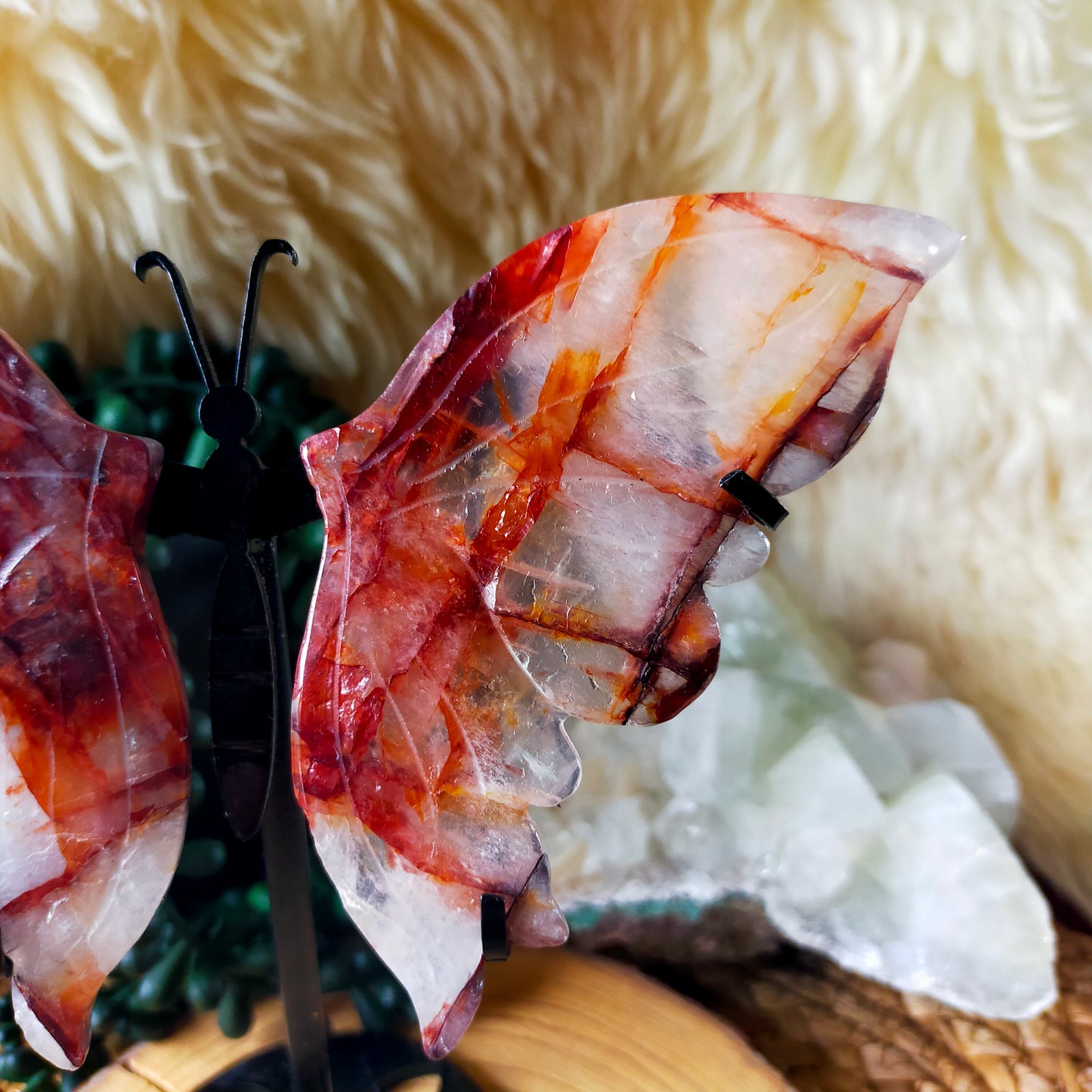 Fire Quartz Butterfly Wings