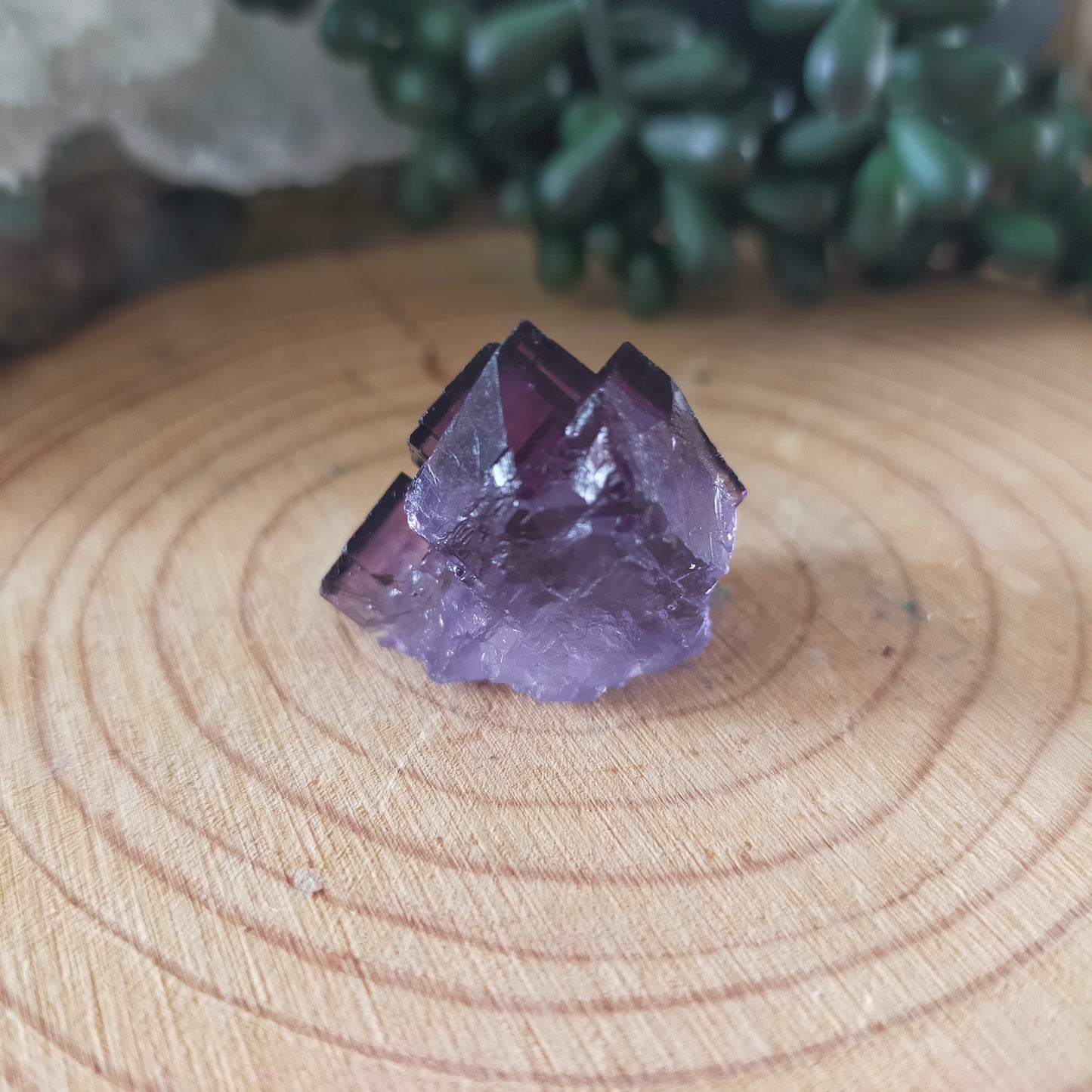 Fluorite Specimen