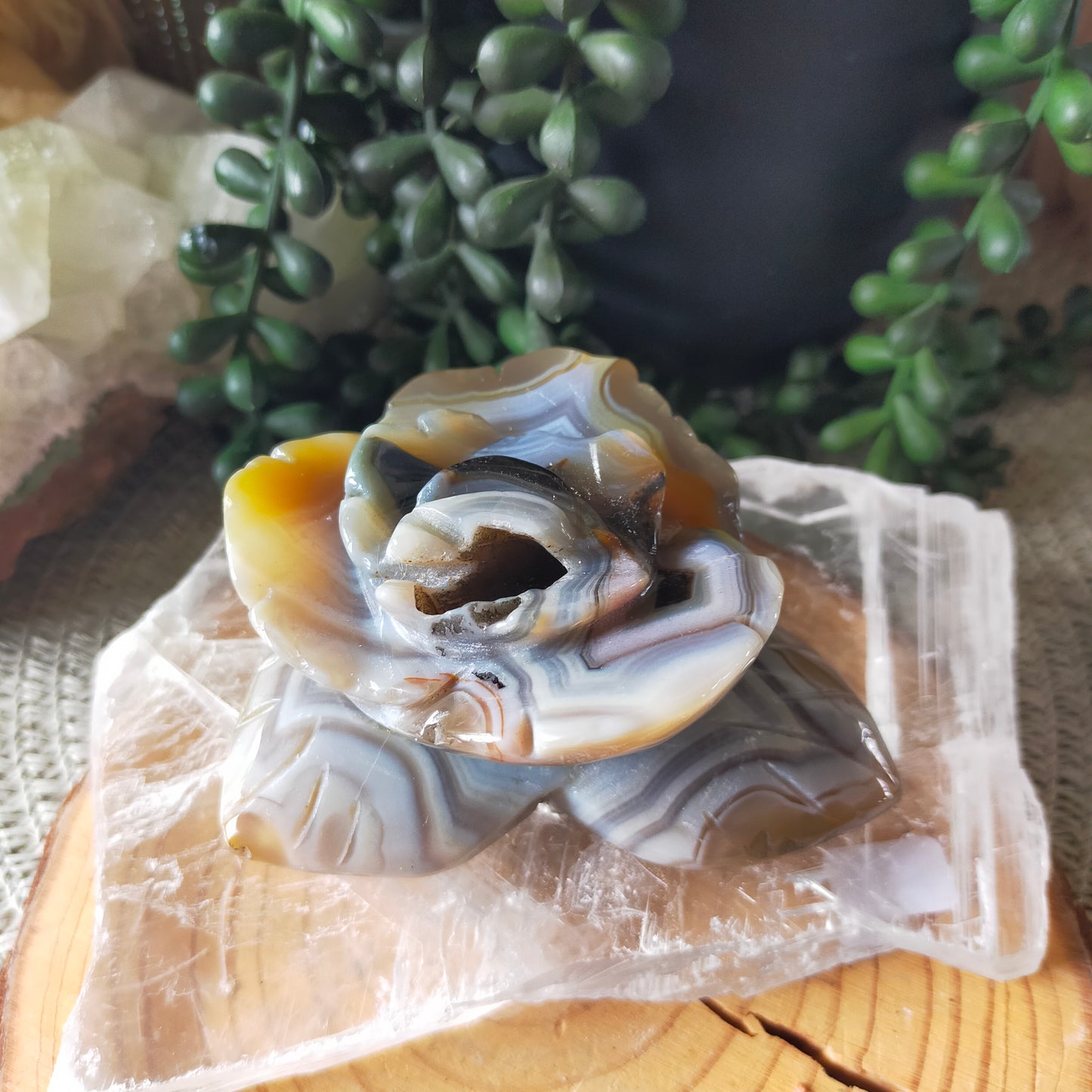 Volcano Agate Flowers