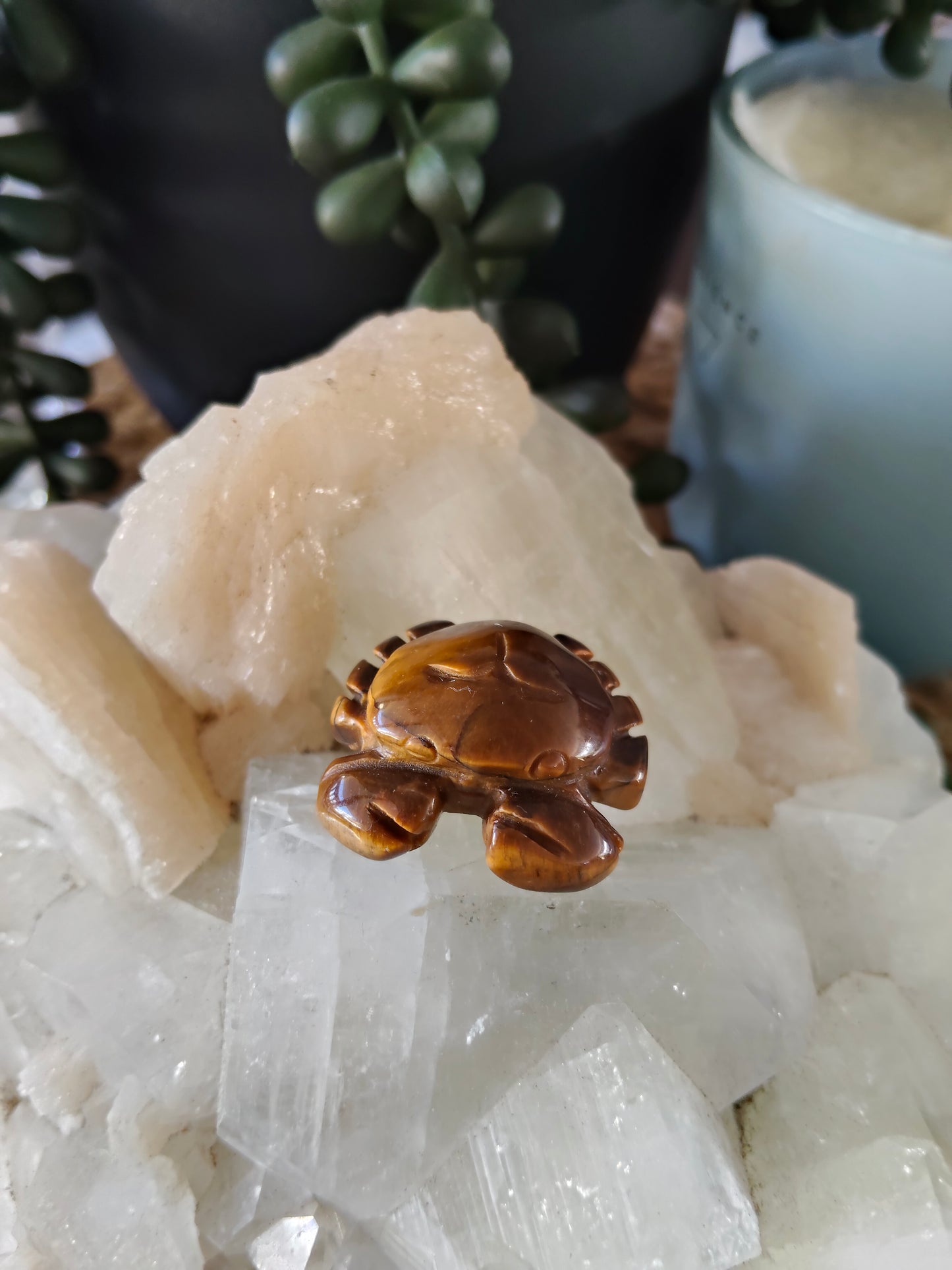 Small Crabs