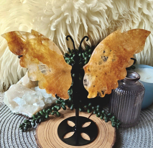 Golden Healer Butterfly