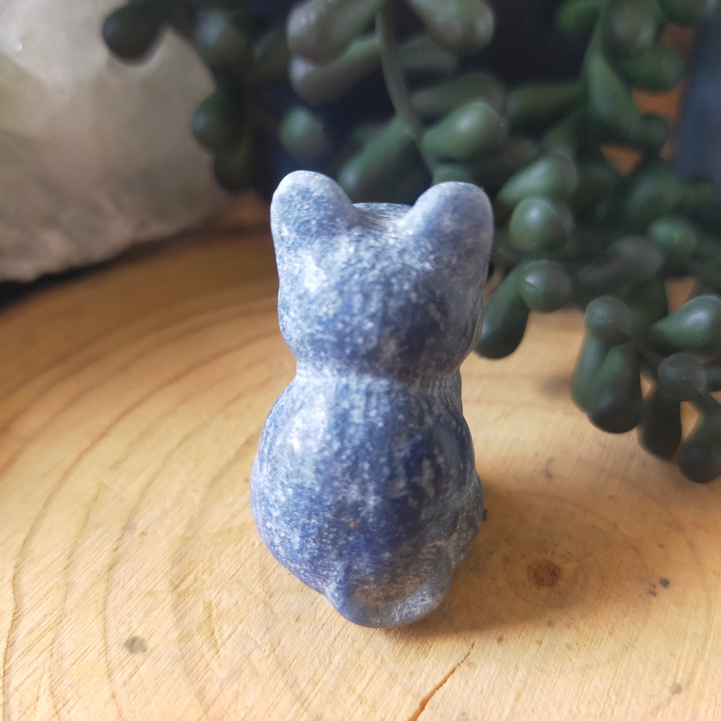 Blue Adventurine Cat