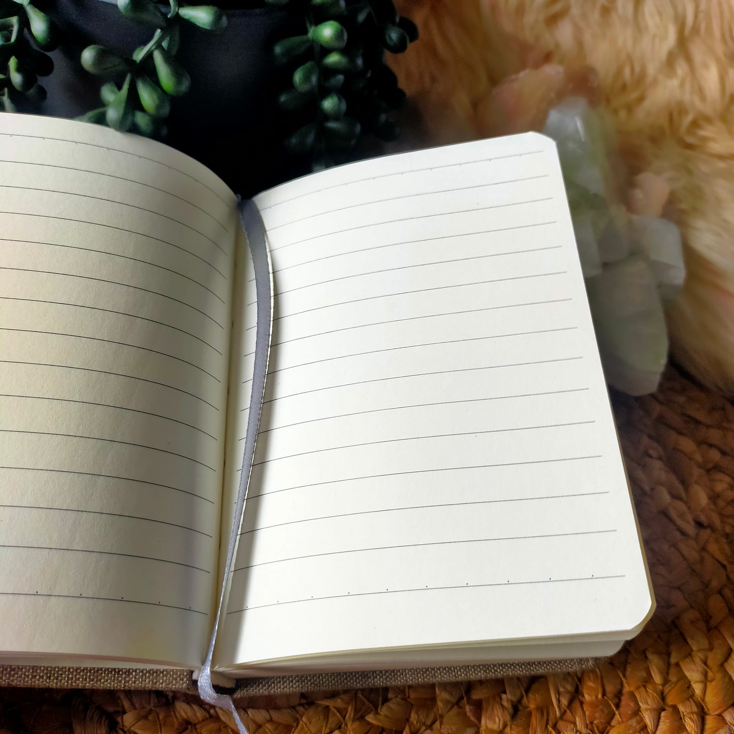 Green Adventurine Diary