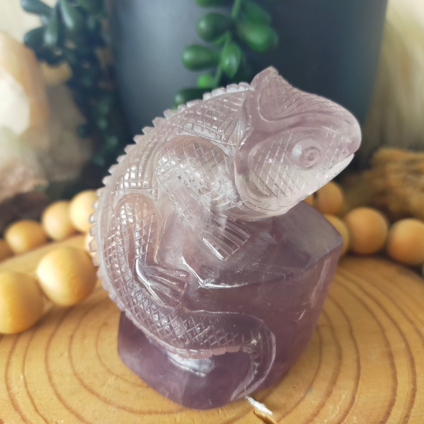 Fluorite Chameleon