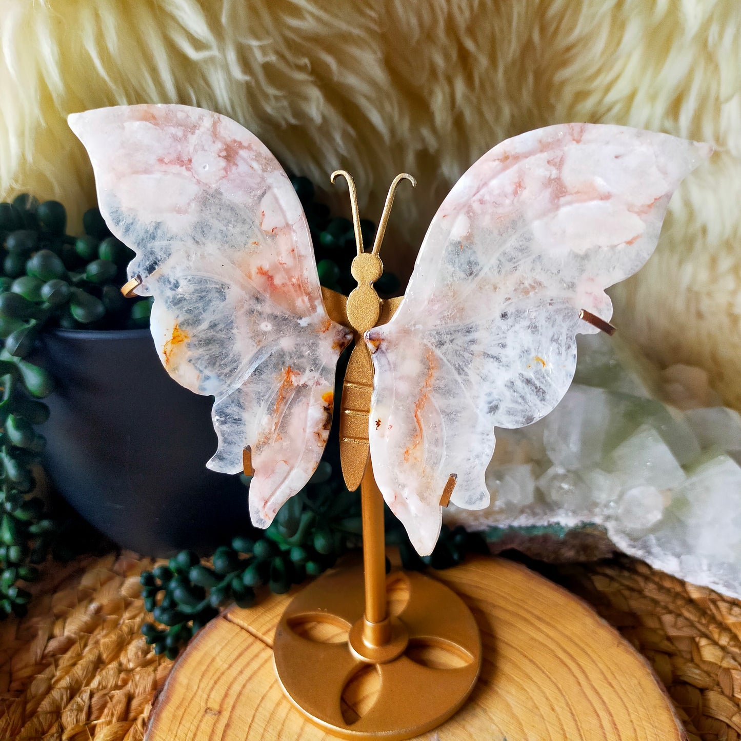Flower Agate Butterfly Wings