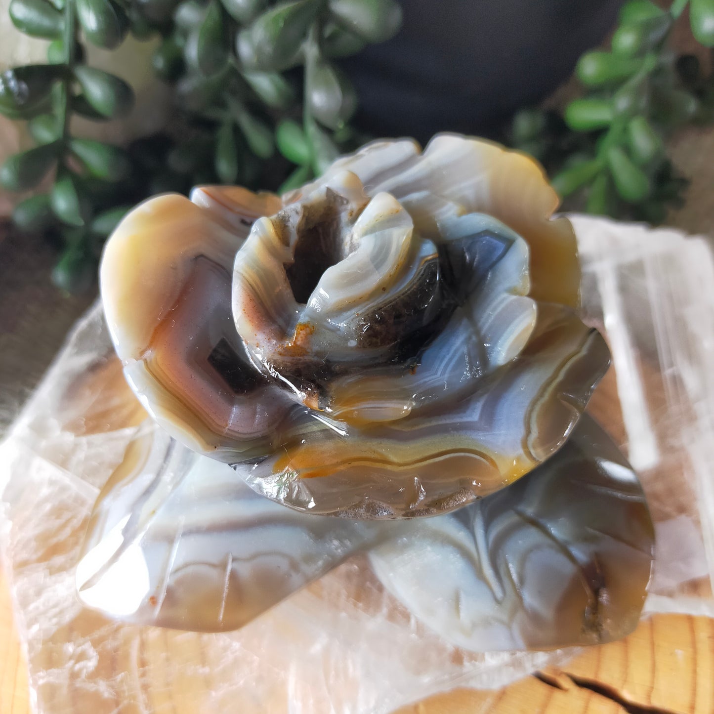 Volcano Agate Flowers