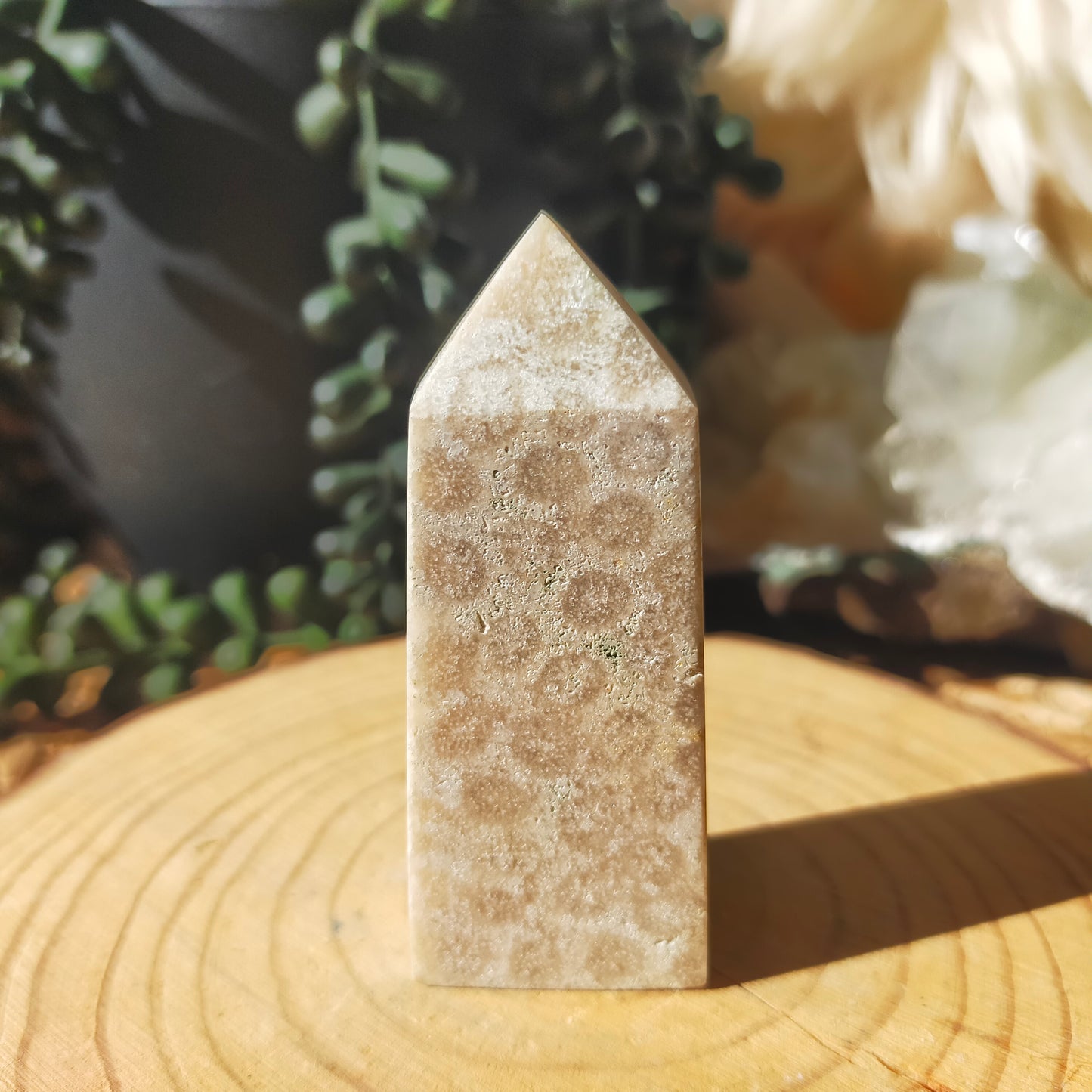 Coral Jasper Point
