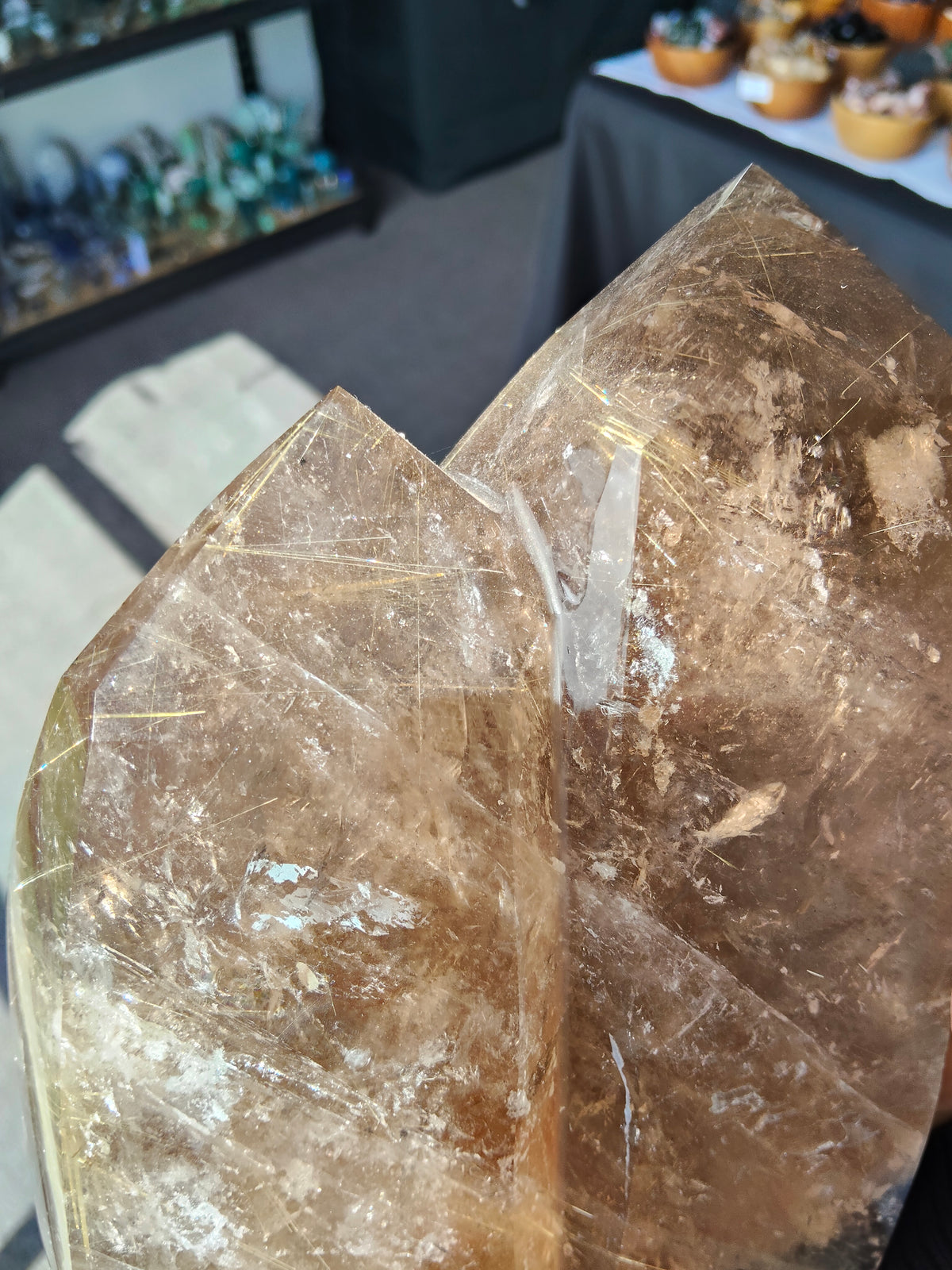Large Rare Smokey Quartz with Golden Rutile Freeform