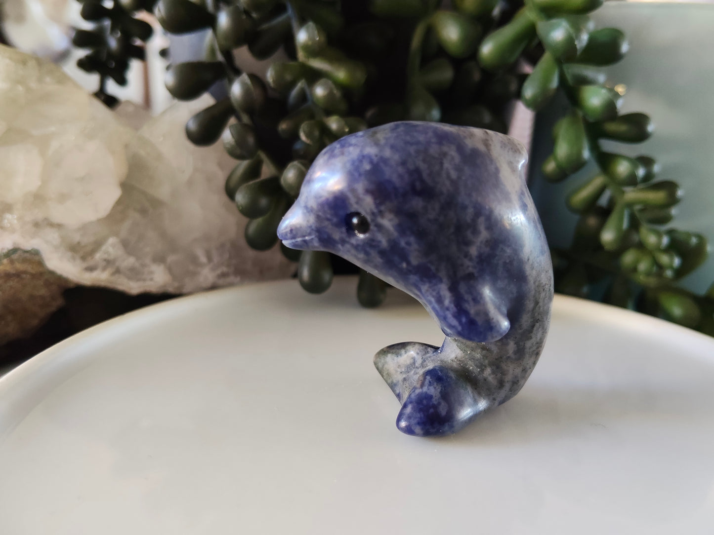 Dolphin Carvings