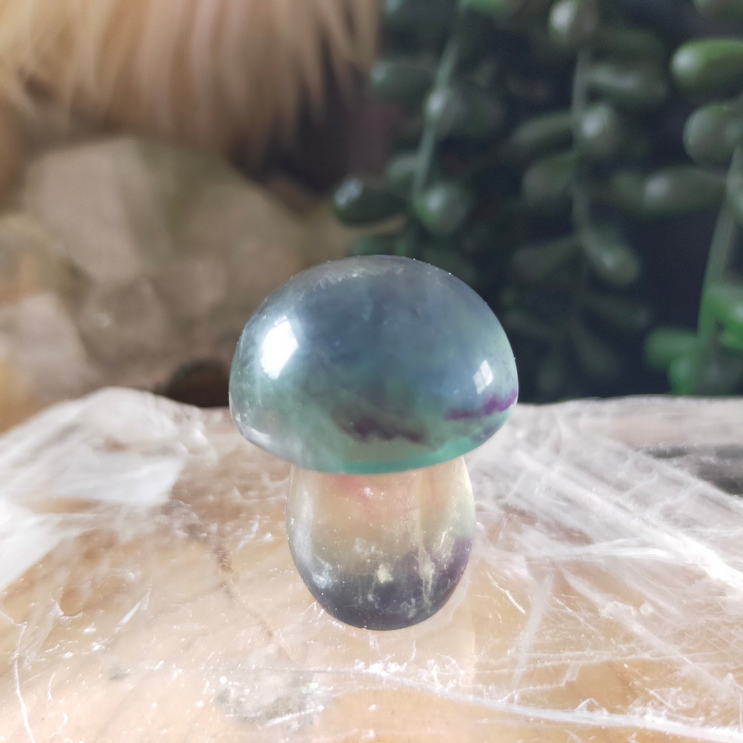 Fluorite Mushrooms