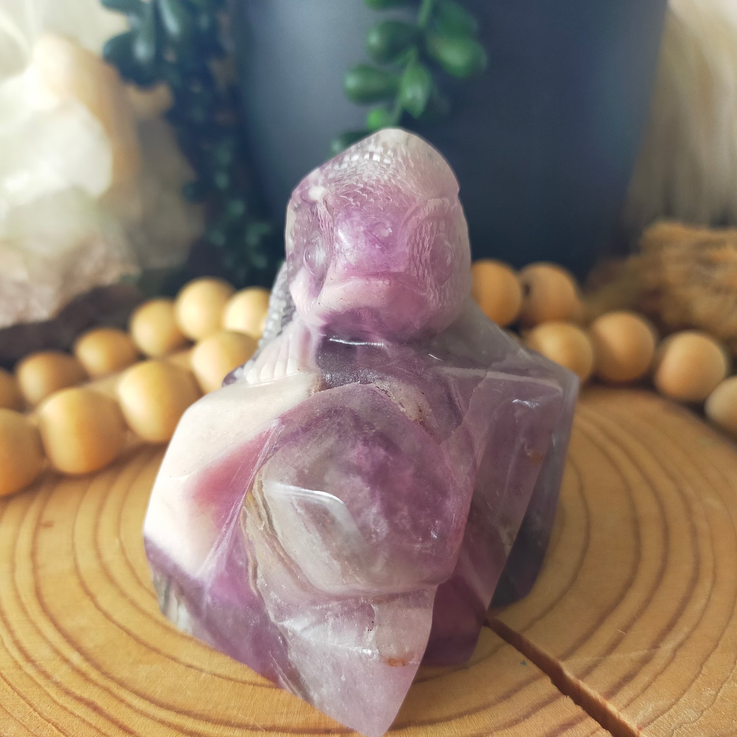 Fluorite Chameleon