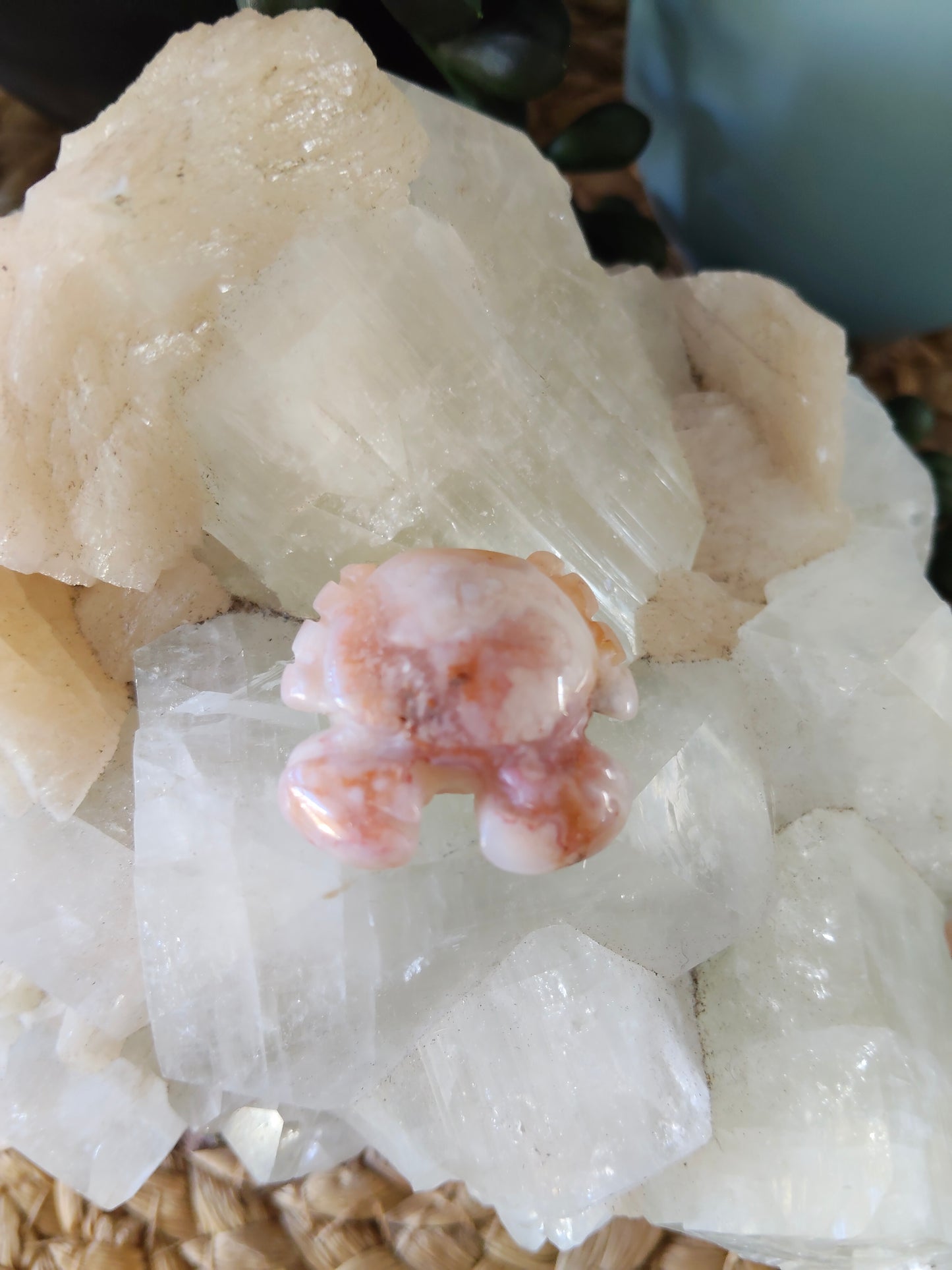 Small Crabs