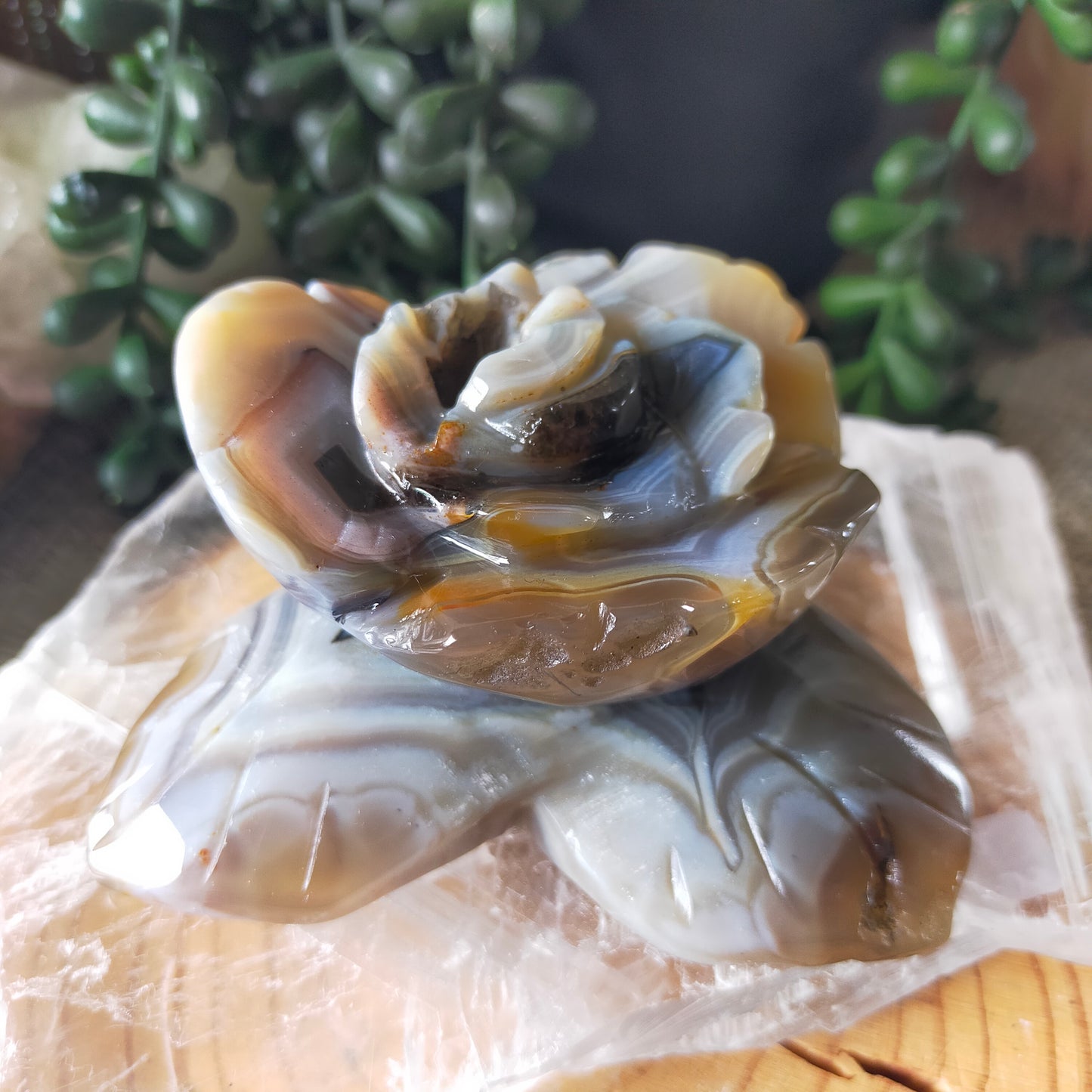 Volcano Agate Flowers