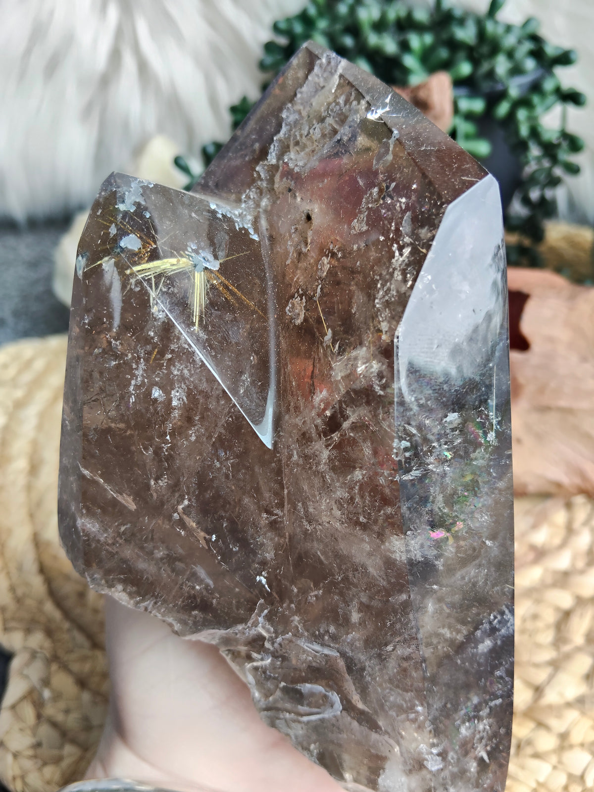 Large Rare Smokey Quartz with Golden Rutile