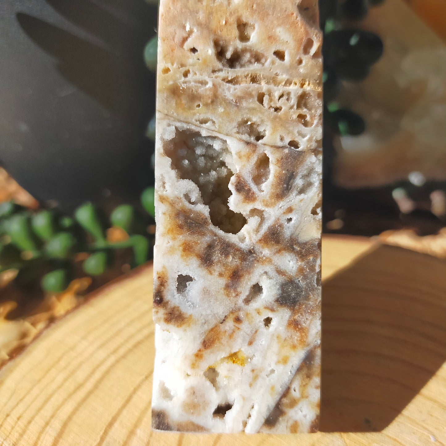 Brecciated Jasper Point