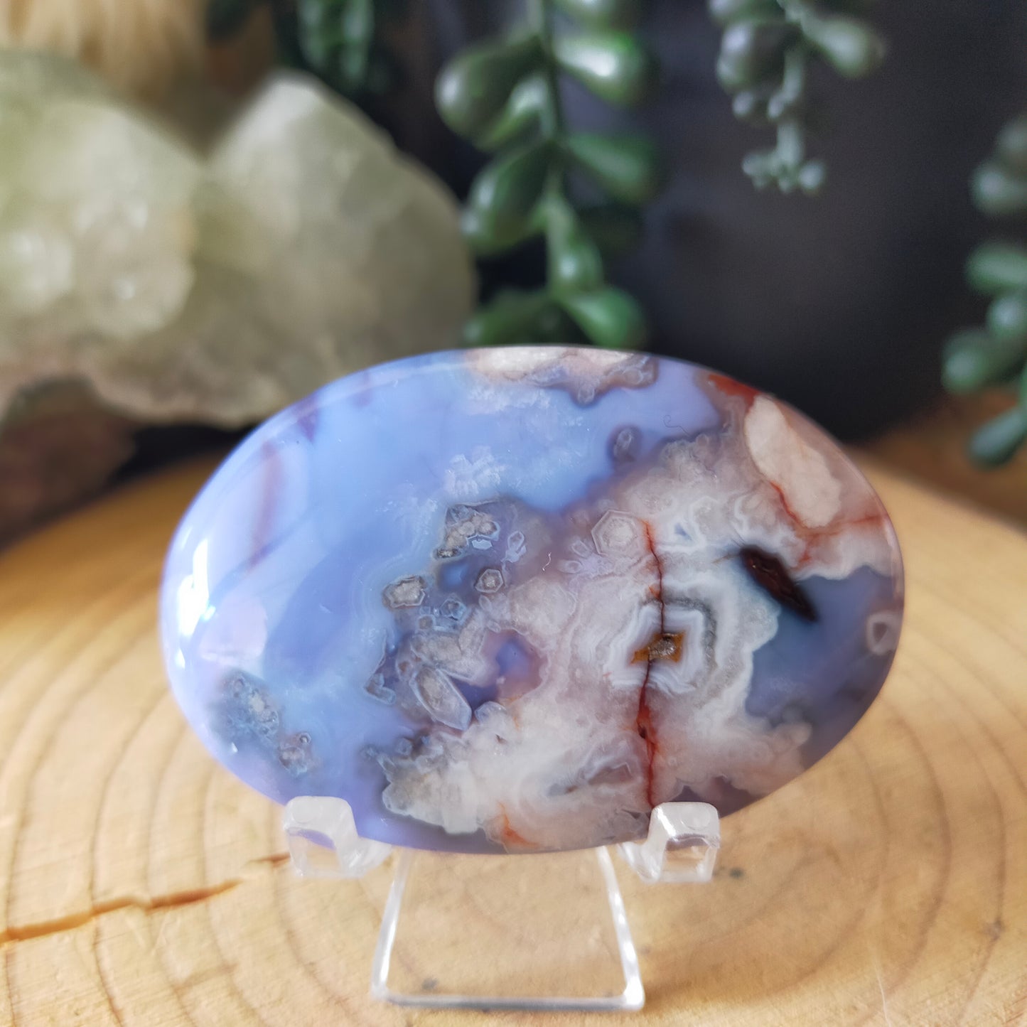Blue Flower Agate Palmstones