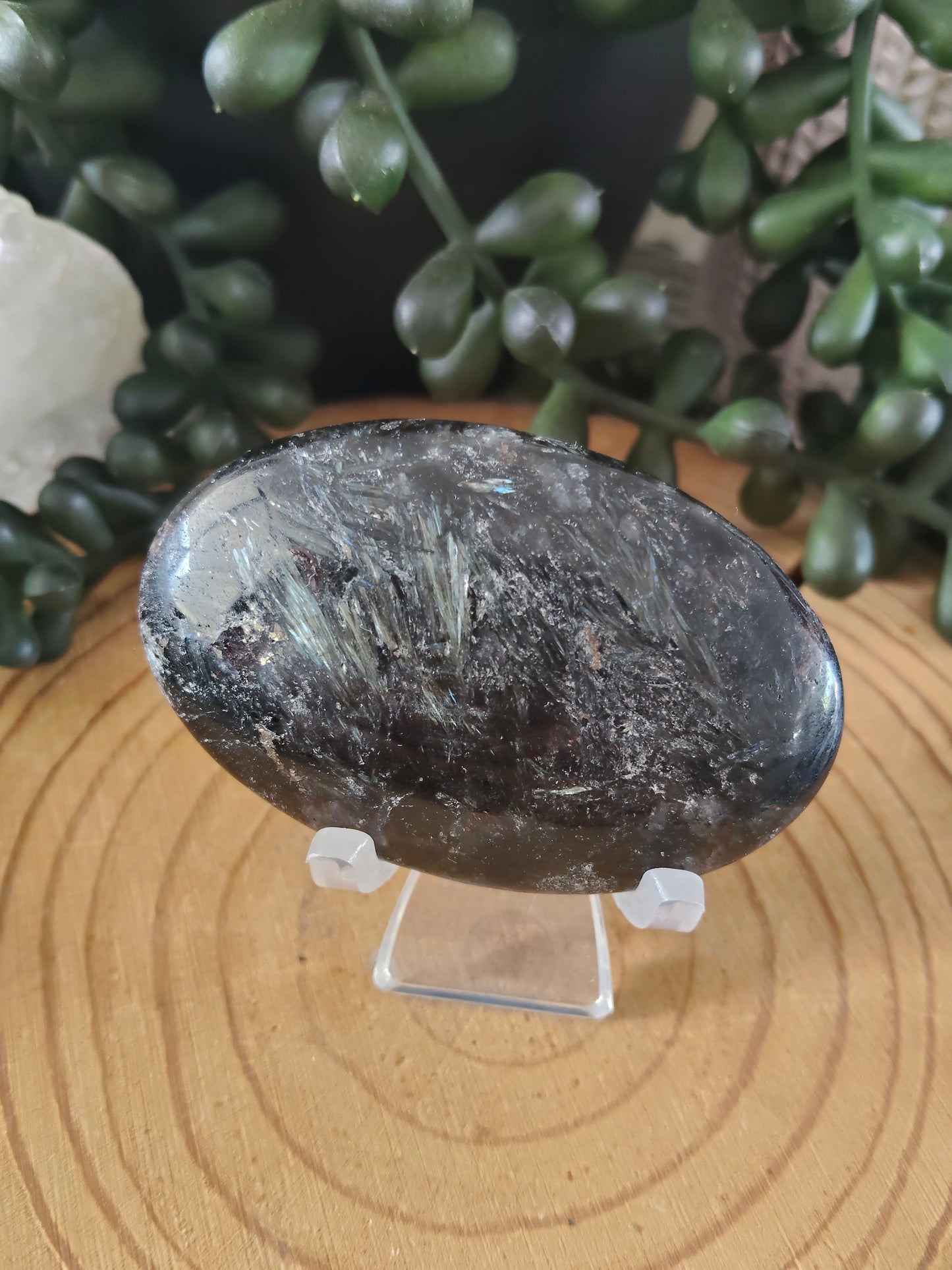 Arfvedsonite and Garnet Palmstones