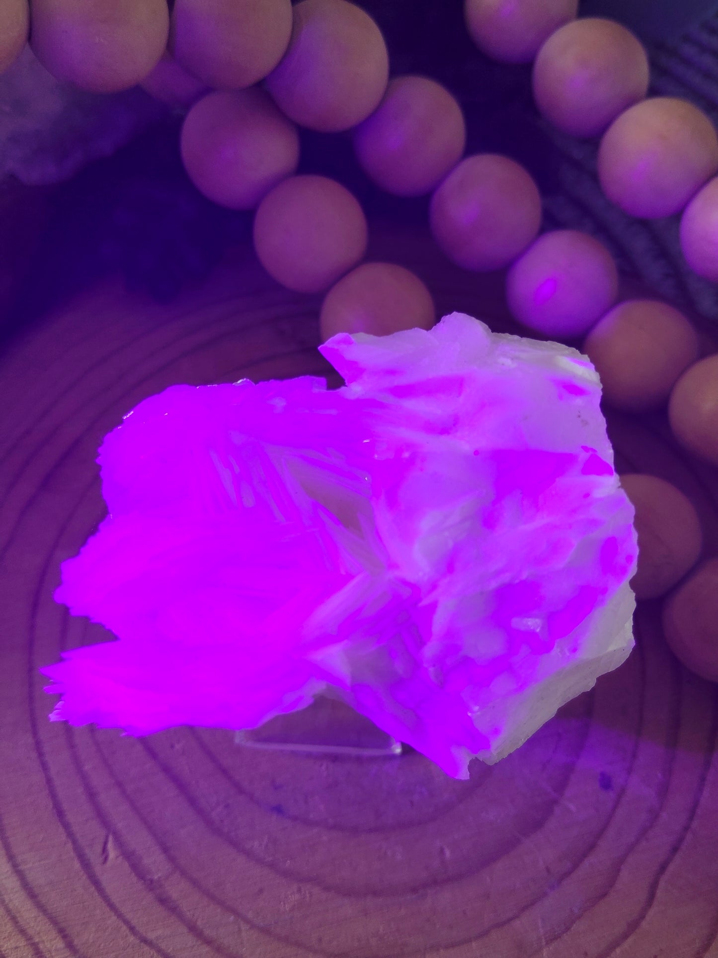 Angel Wing Calcite Specimen