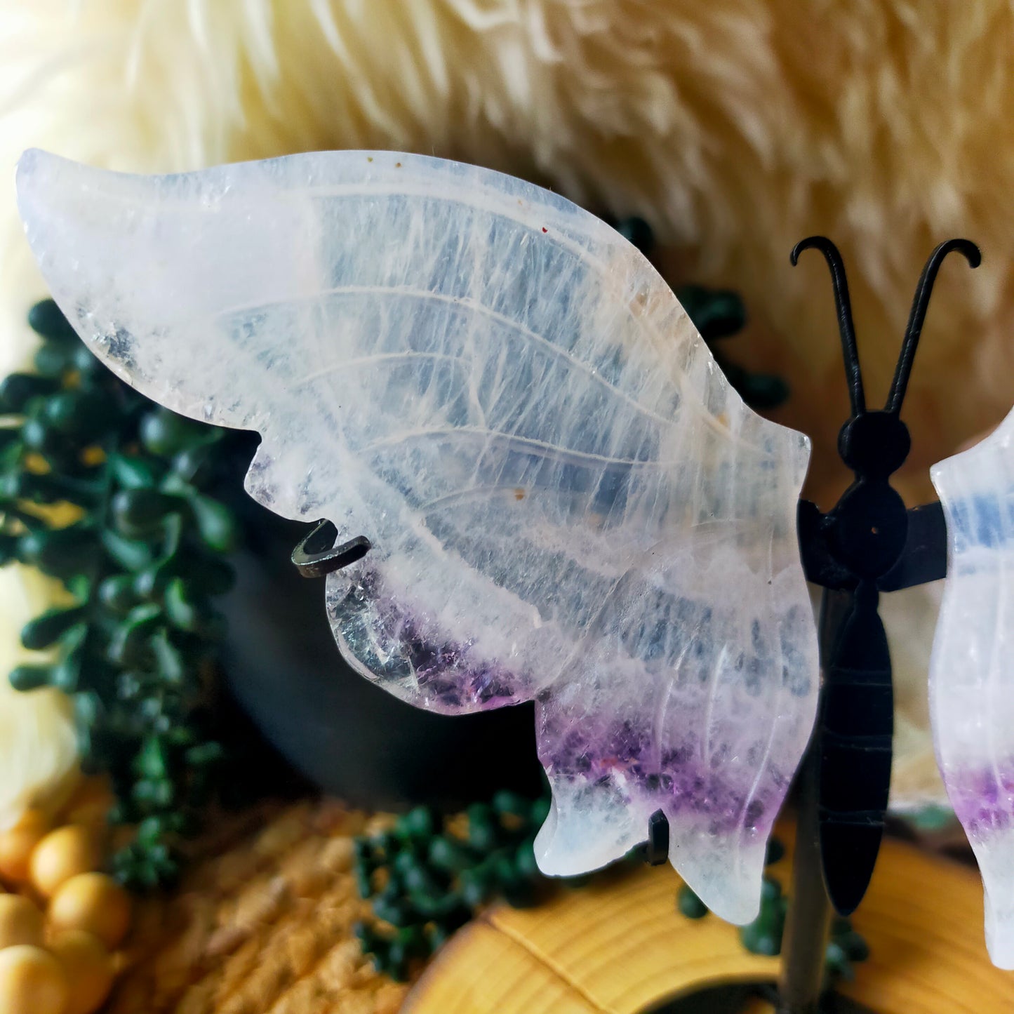 Quartz/Amethyst Butterfly Wings