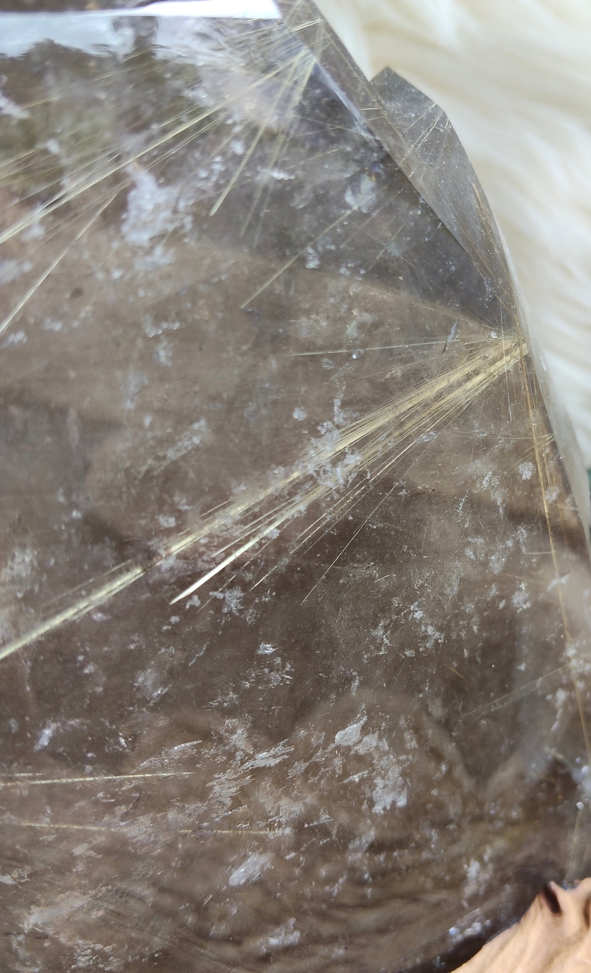 Large Rare Smokey Quartz with Golden Rutile Freeform