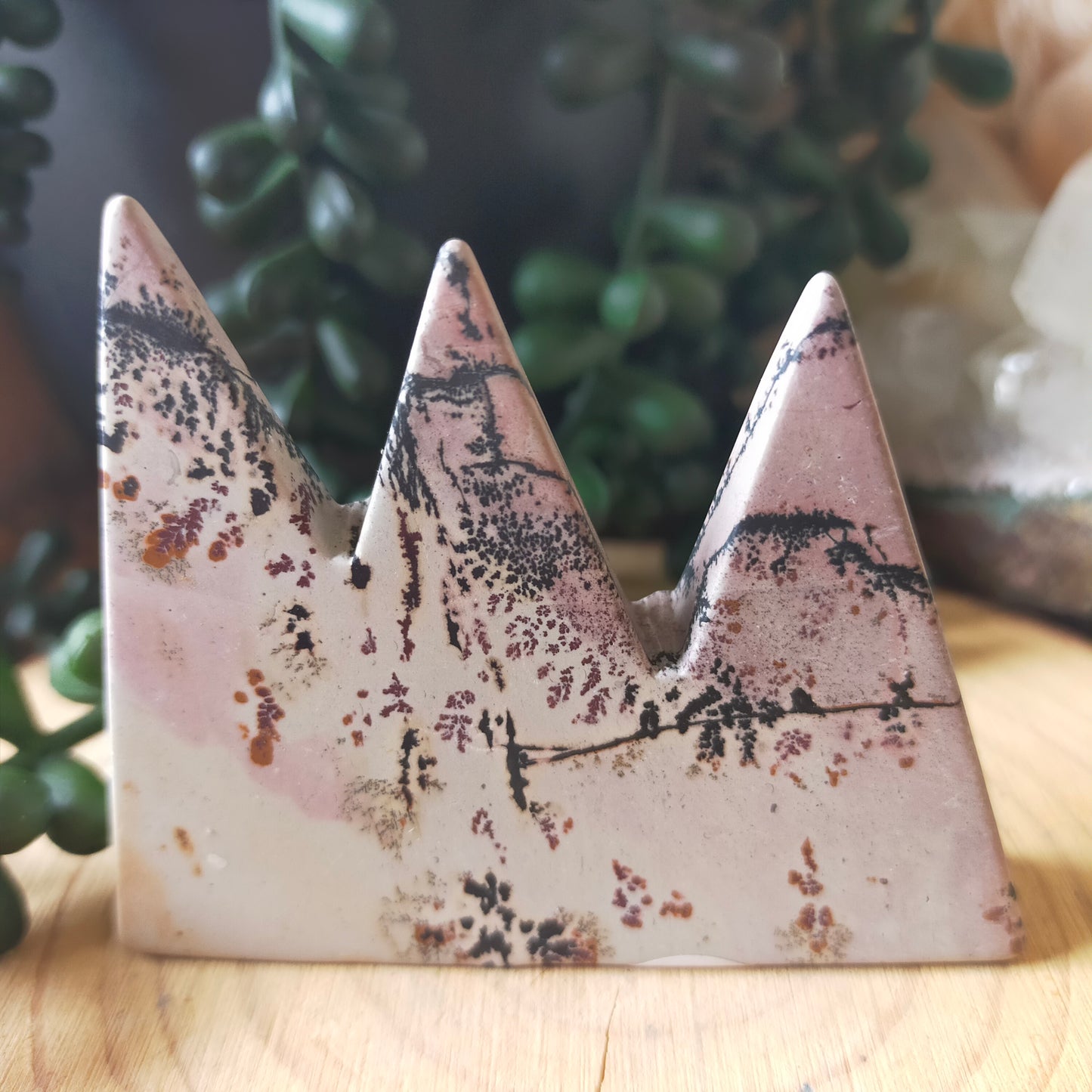 Pink Picture Jasper Mountains