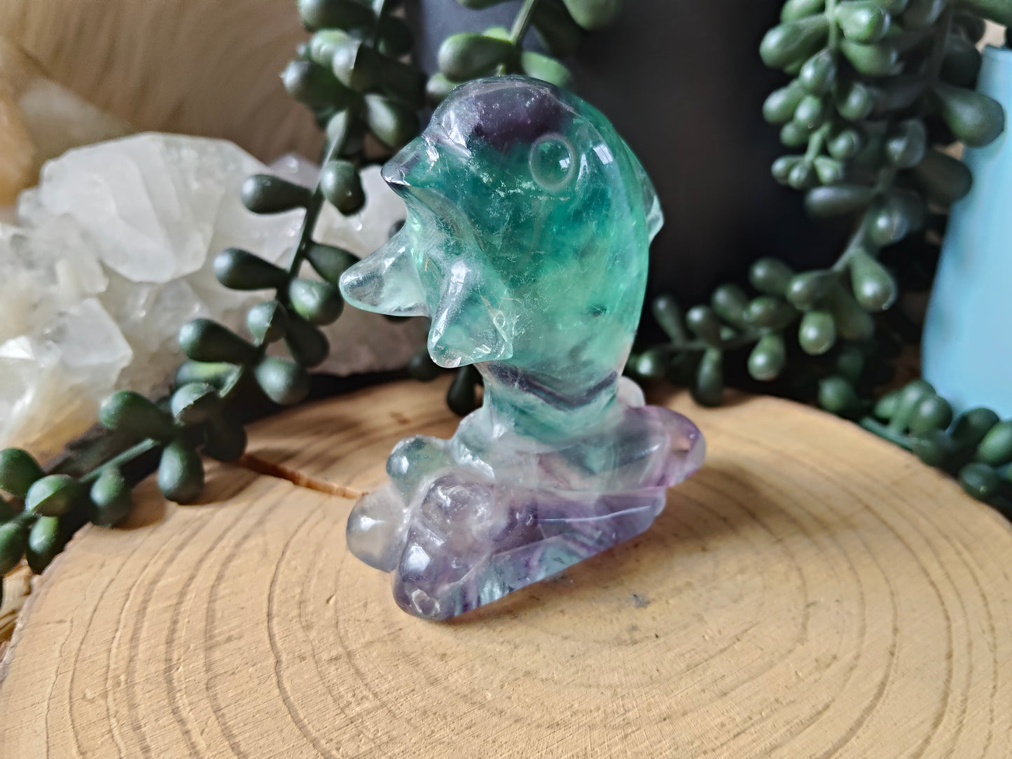 Fluorite Dolphin