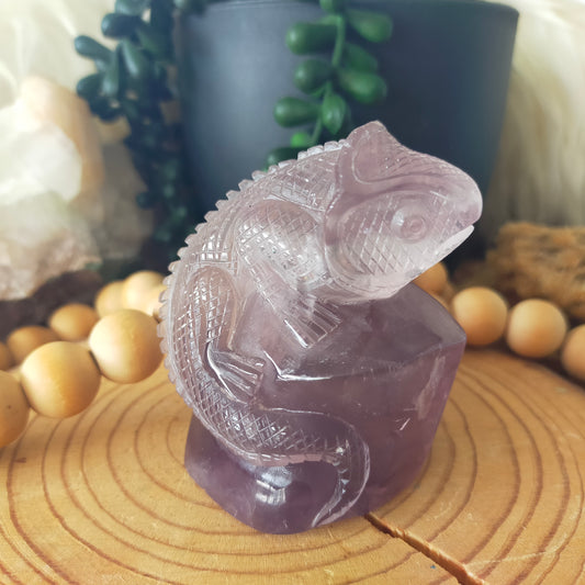 Fluorite Chameleon