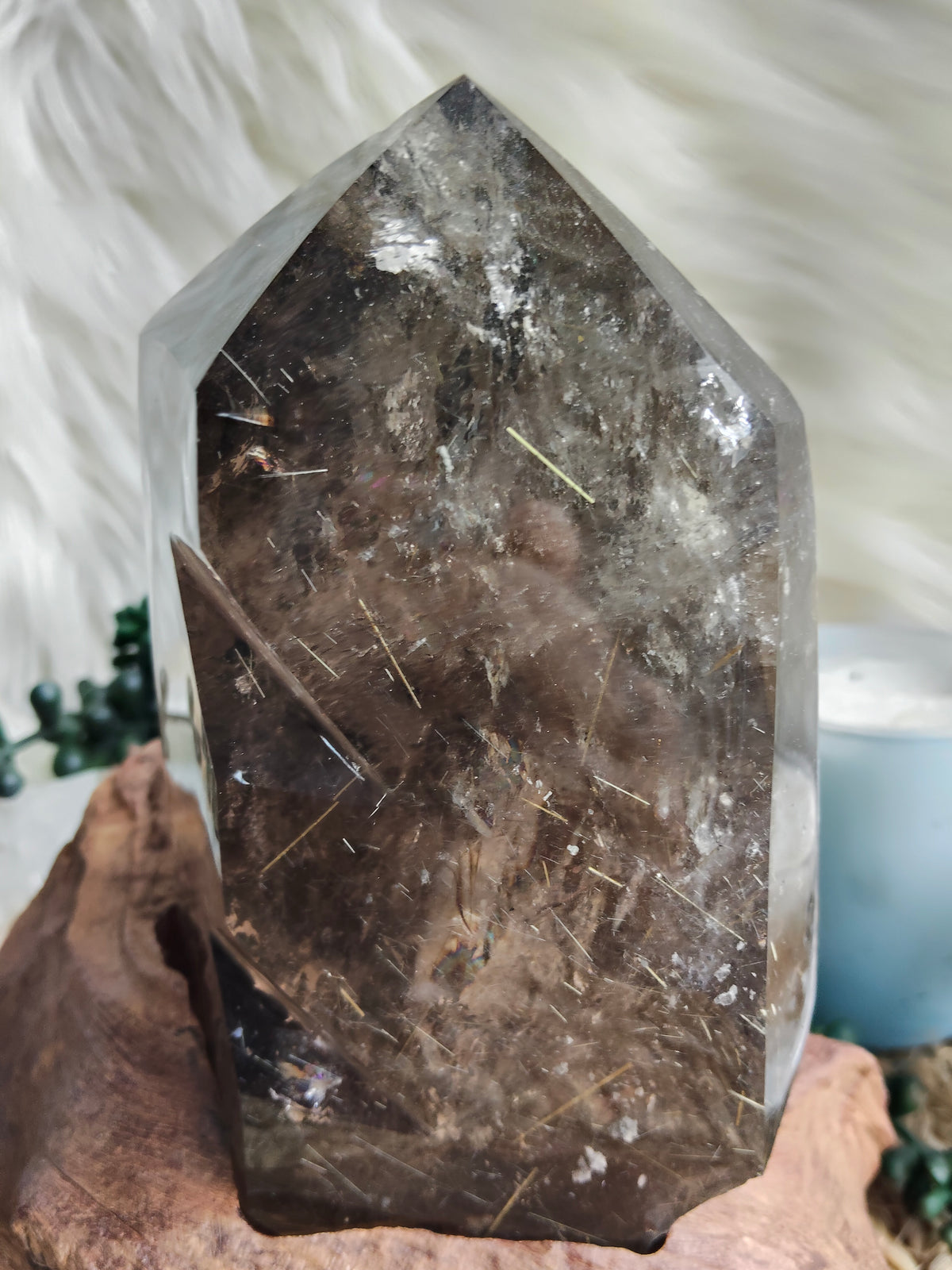 Large Rare Smokey Quartz with Golden Rutile