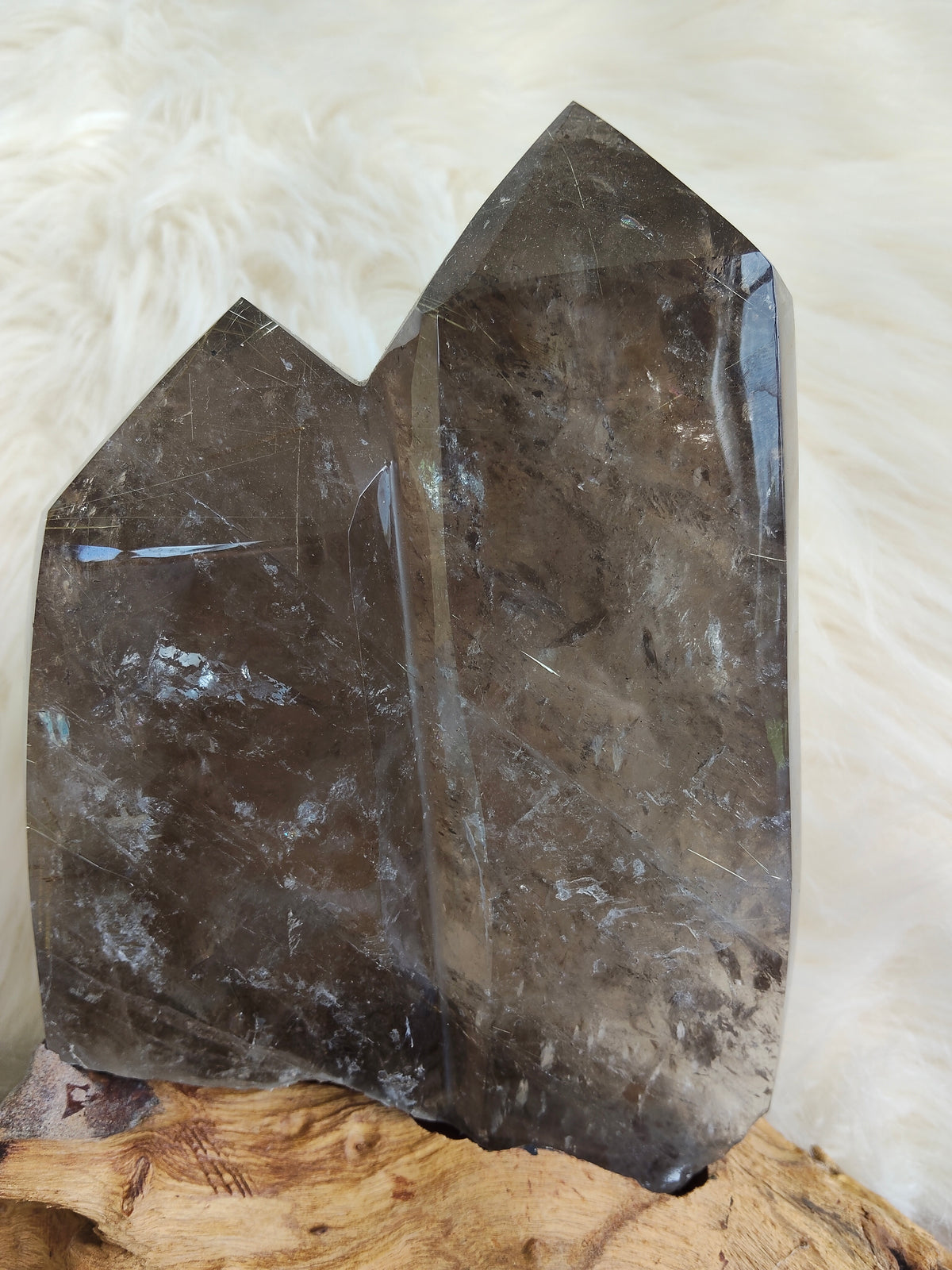 Large Rare Smokey Quartz with Golden Rutile Freeform