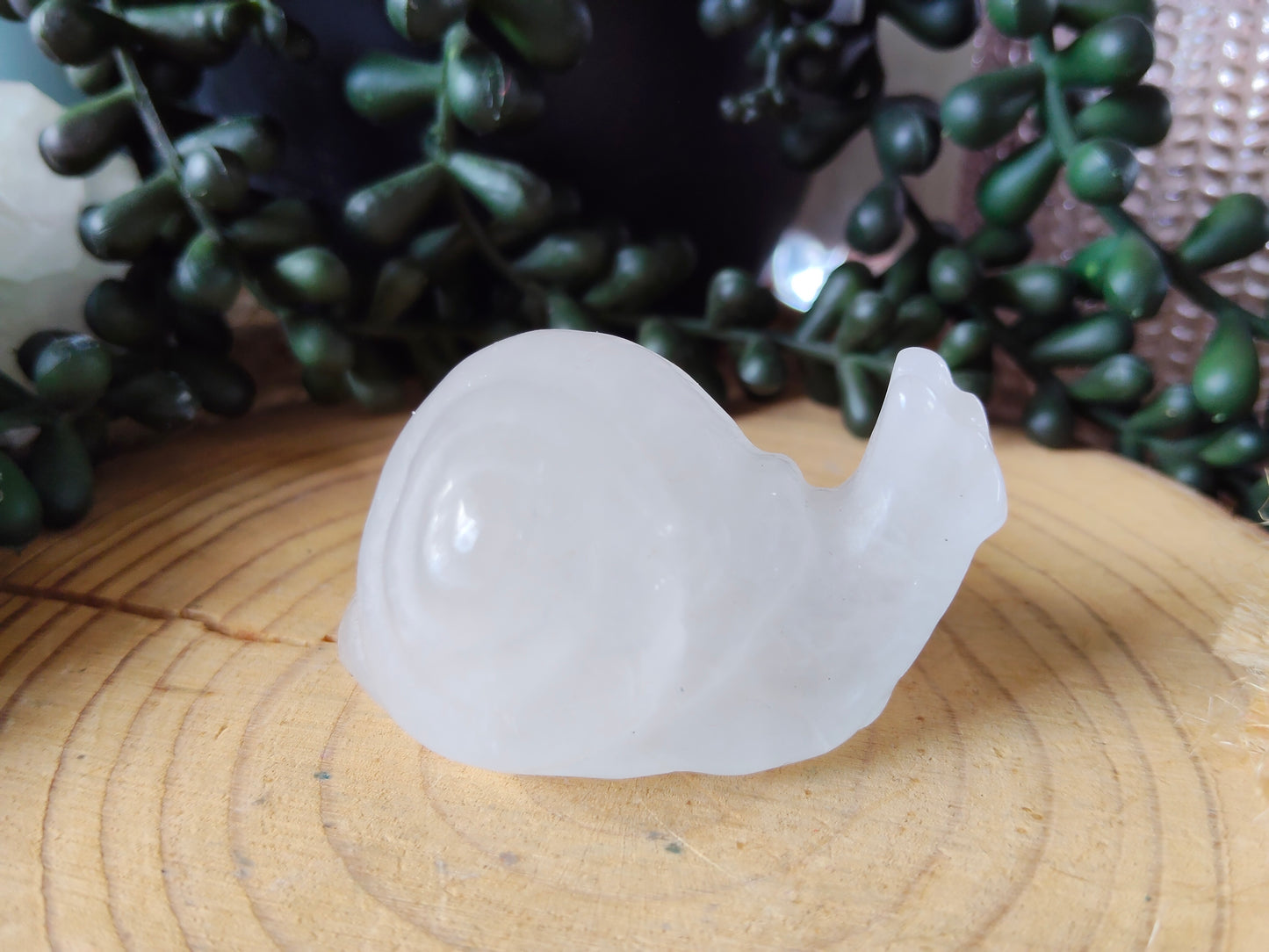 Crystal Snails