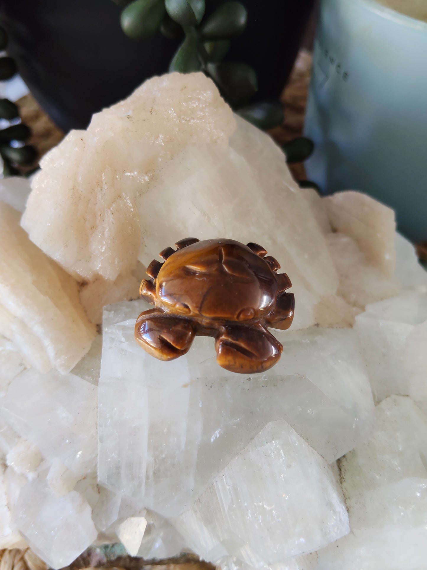 Small Crabs
