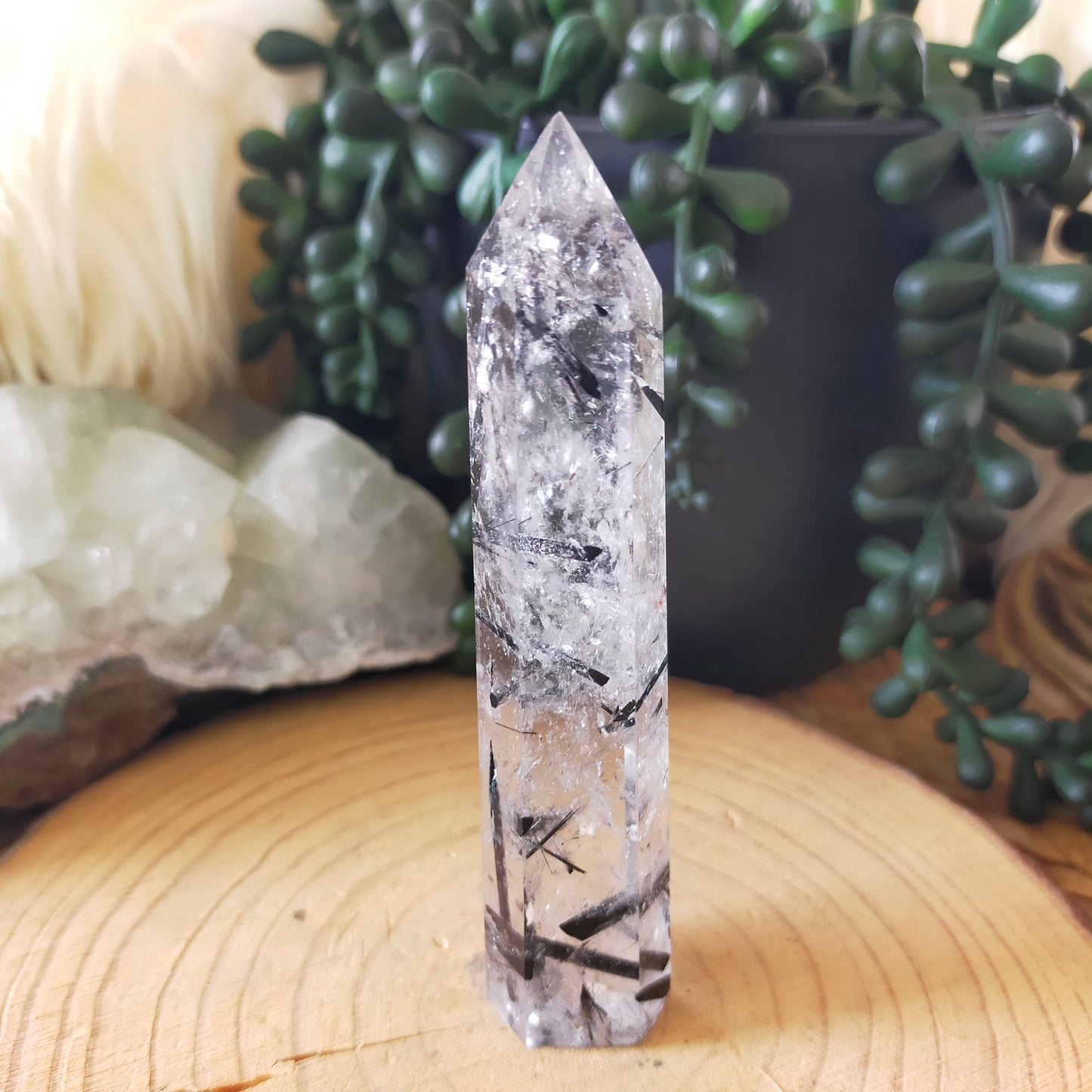 Black Tourmaline in Quartz Point