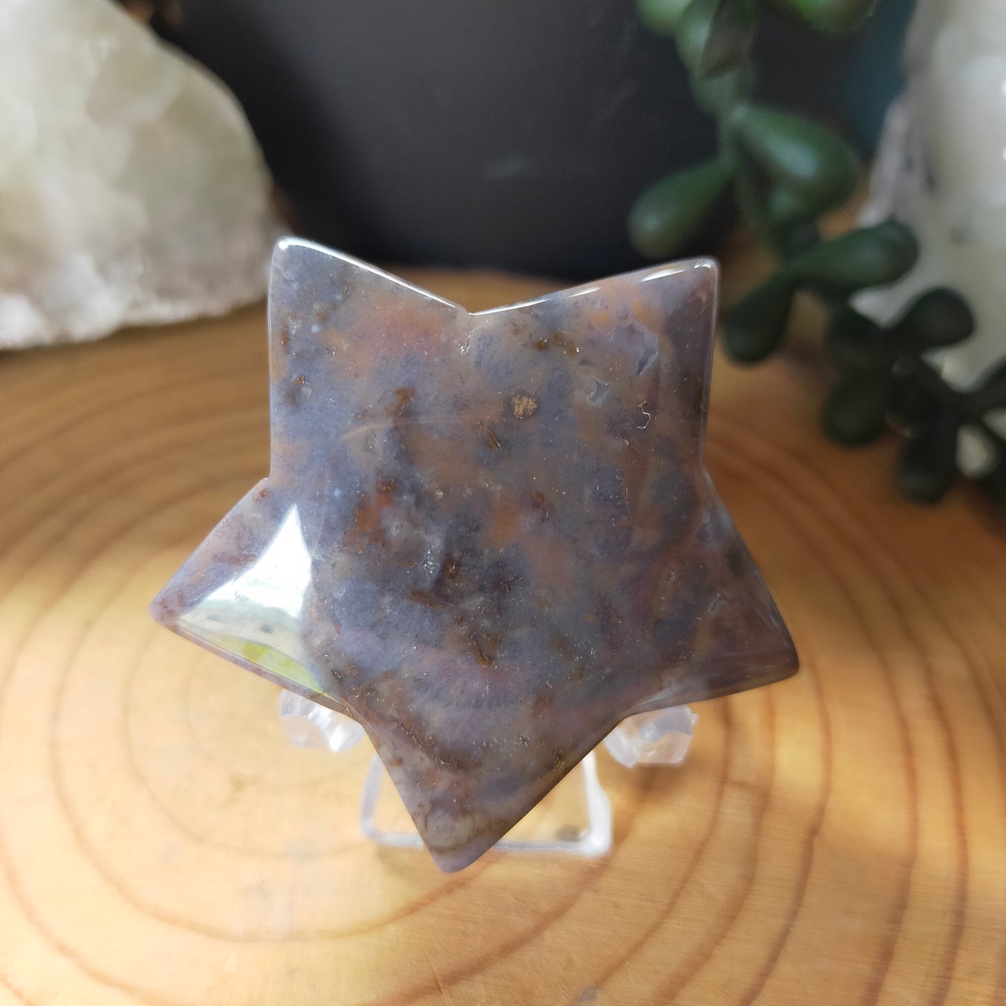 Ocean Jasper Star