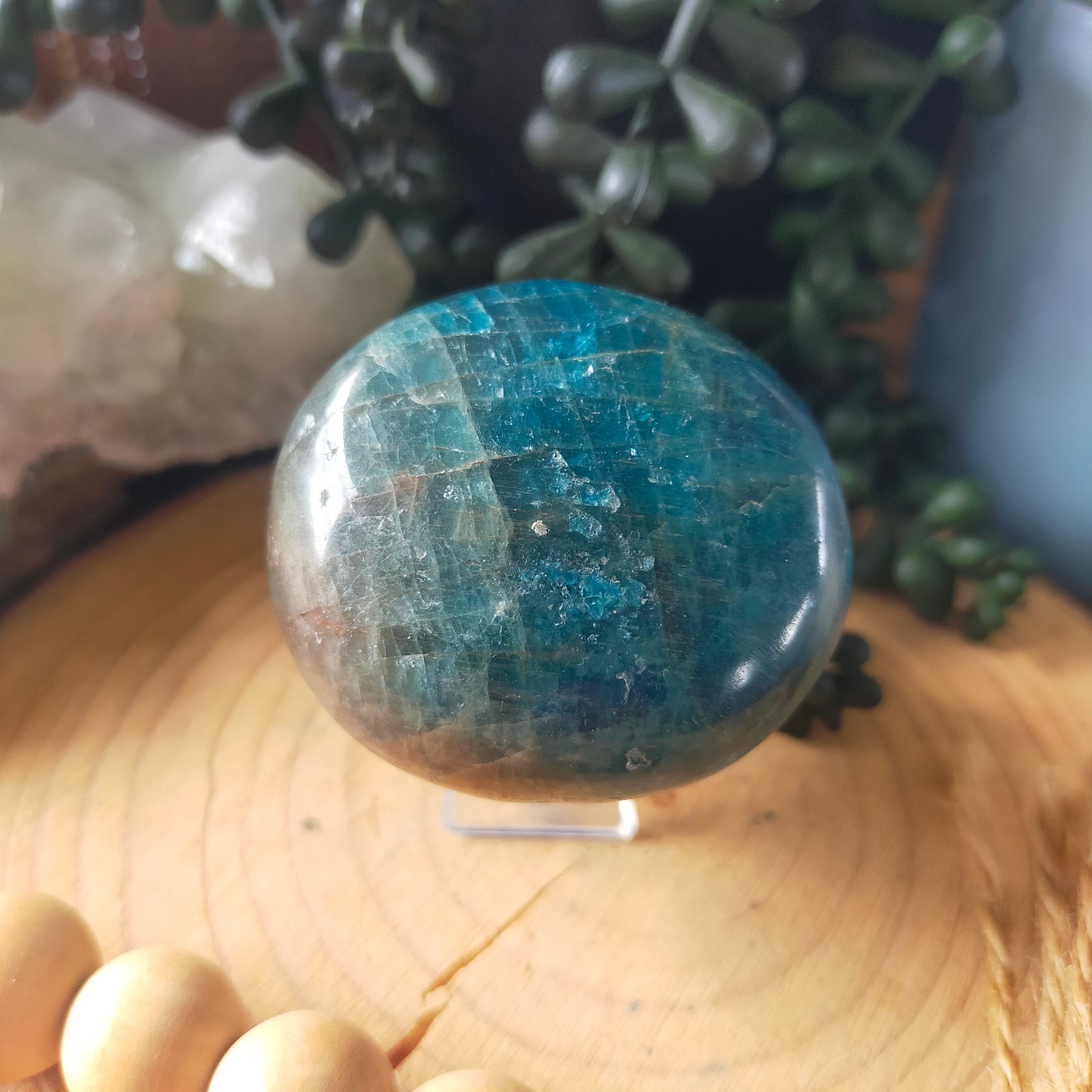 Blue Apatite Palmstone