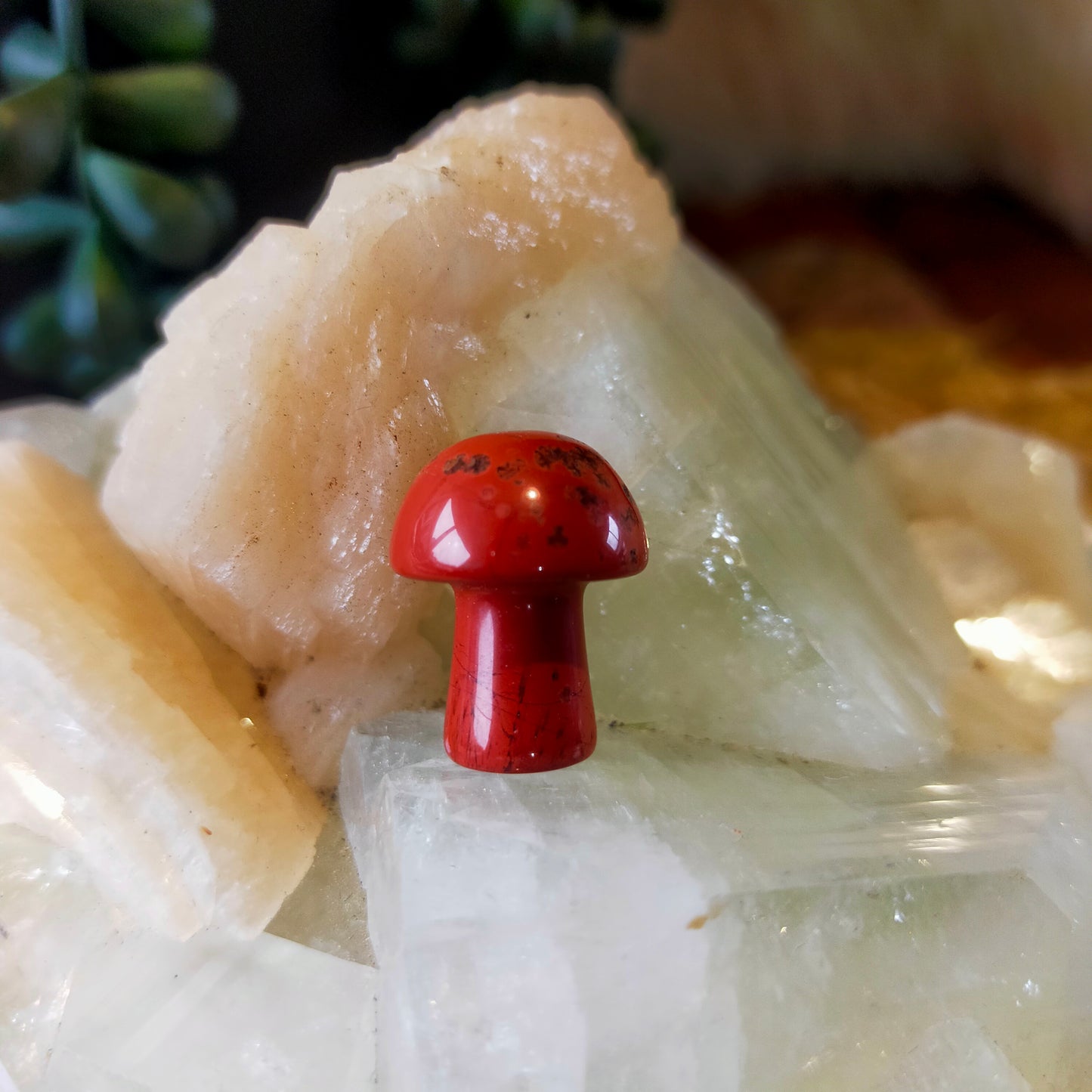 Mini Mushrooms
